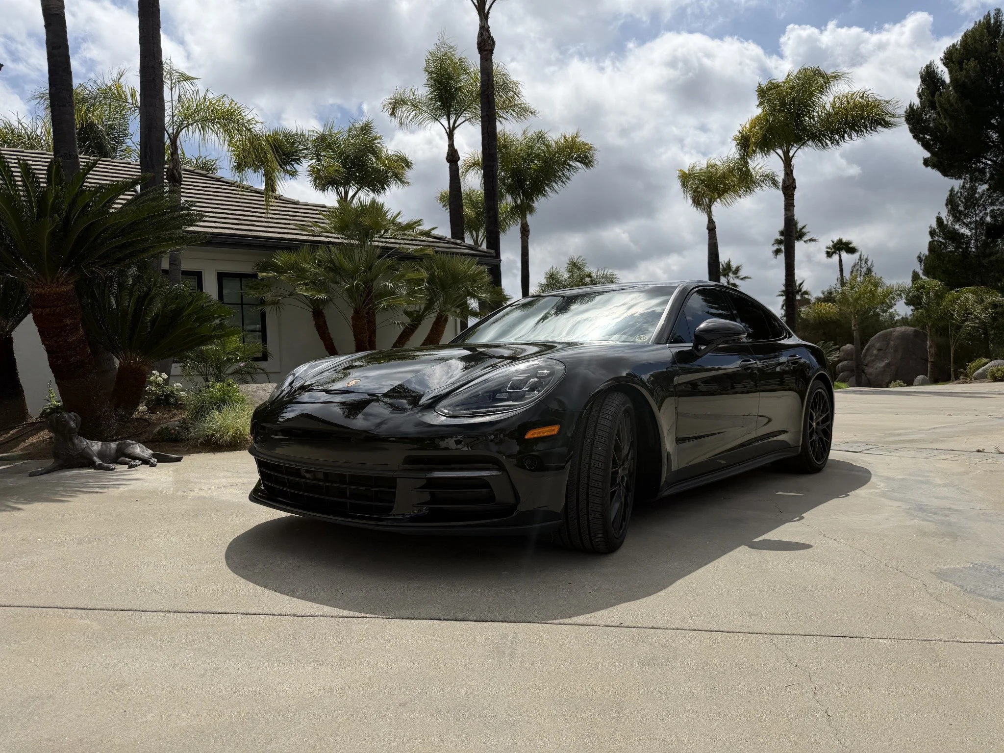 Black Porsche with glossy paint parked in a sunny driveway after a full detail