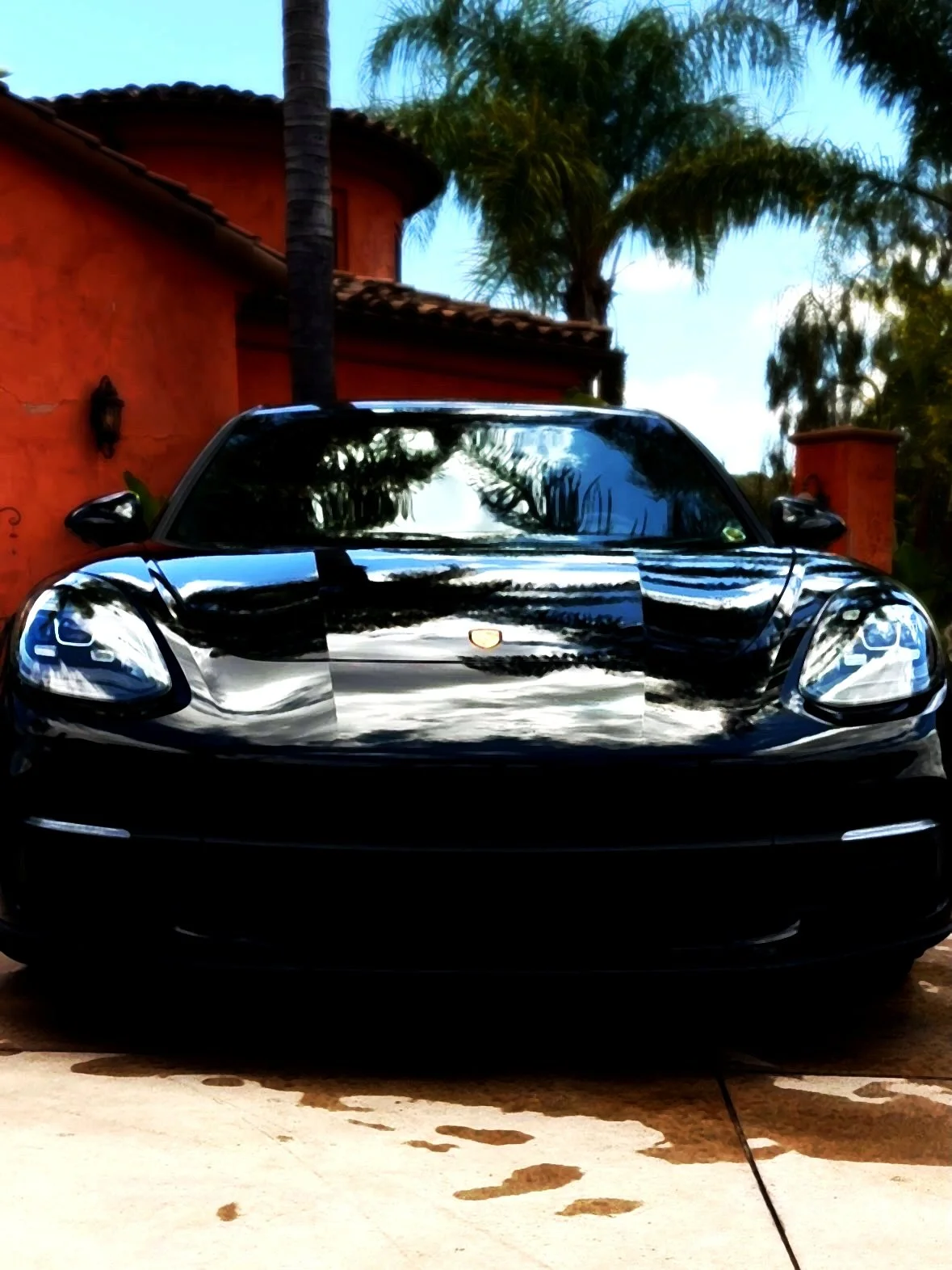 Black Porsche front end with glossy paint after a premium car detail
