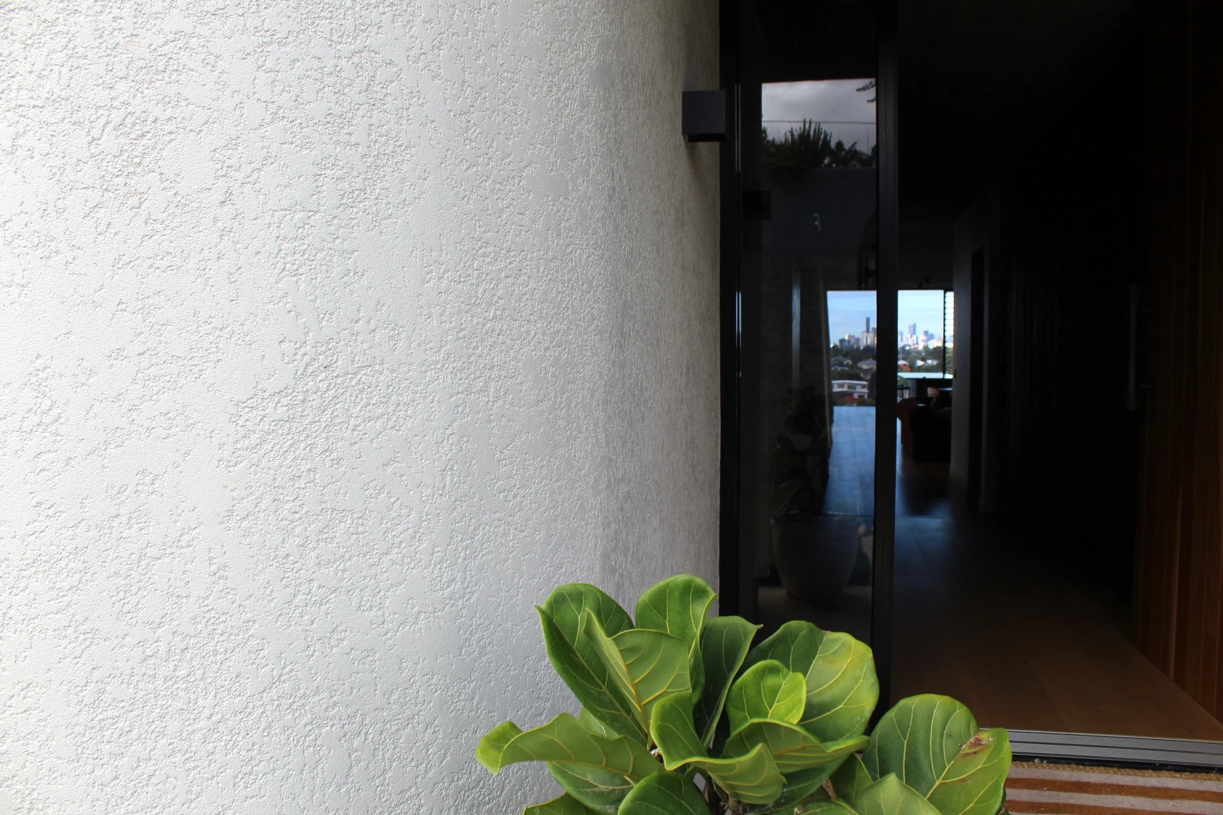 Indoor plant with large green leaves in front of a textured white wall, with a dark interior and a view of a city skyline through a sliding glass door.