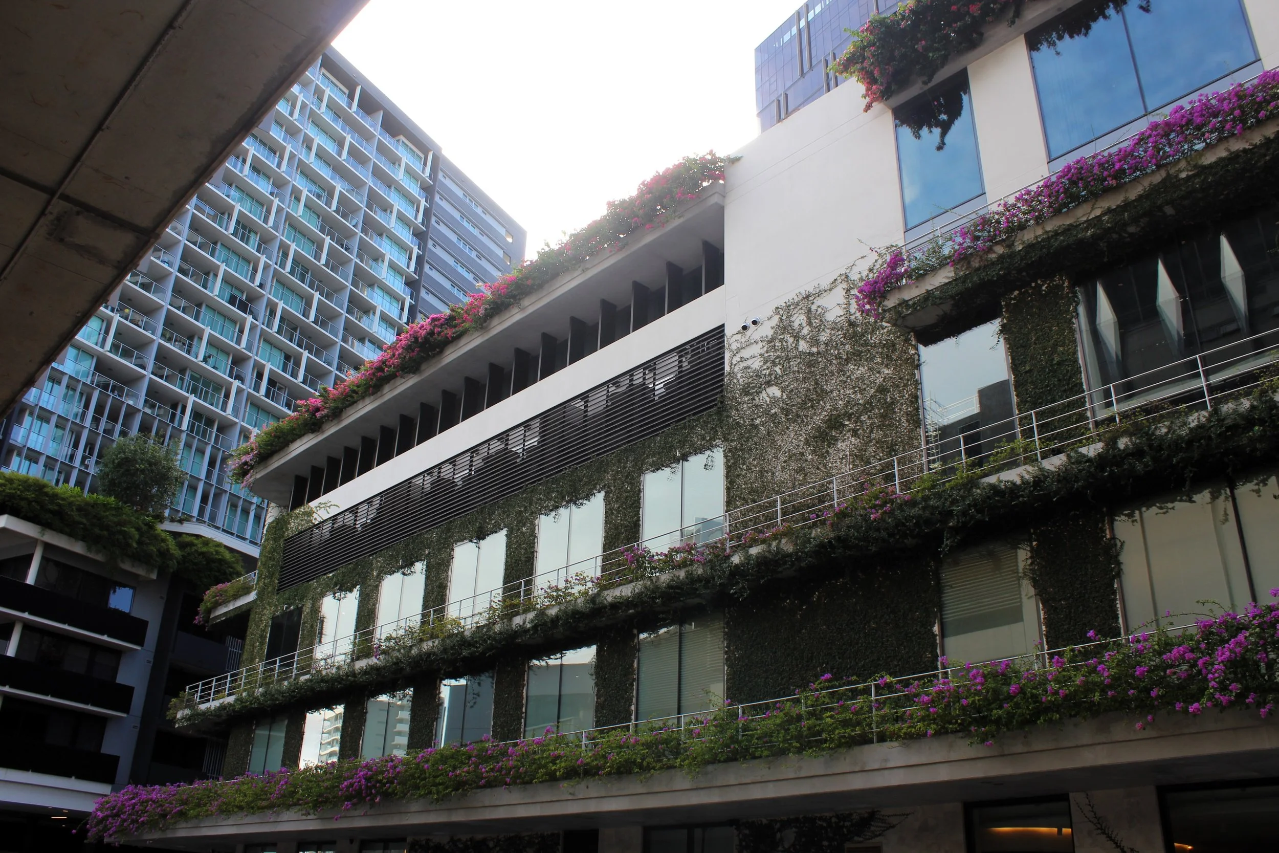 Modern multi-story buildings with balconies and large glass windows, decorated with pink and purple flowers on the terraces, under a bright sky.