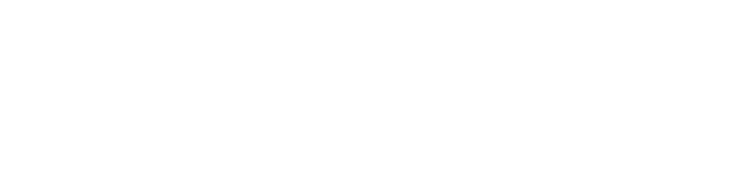 Lansinoh logo in white on a black background
