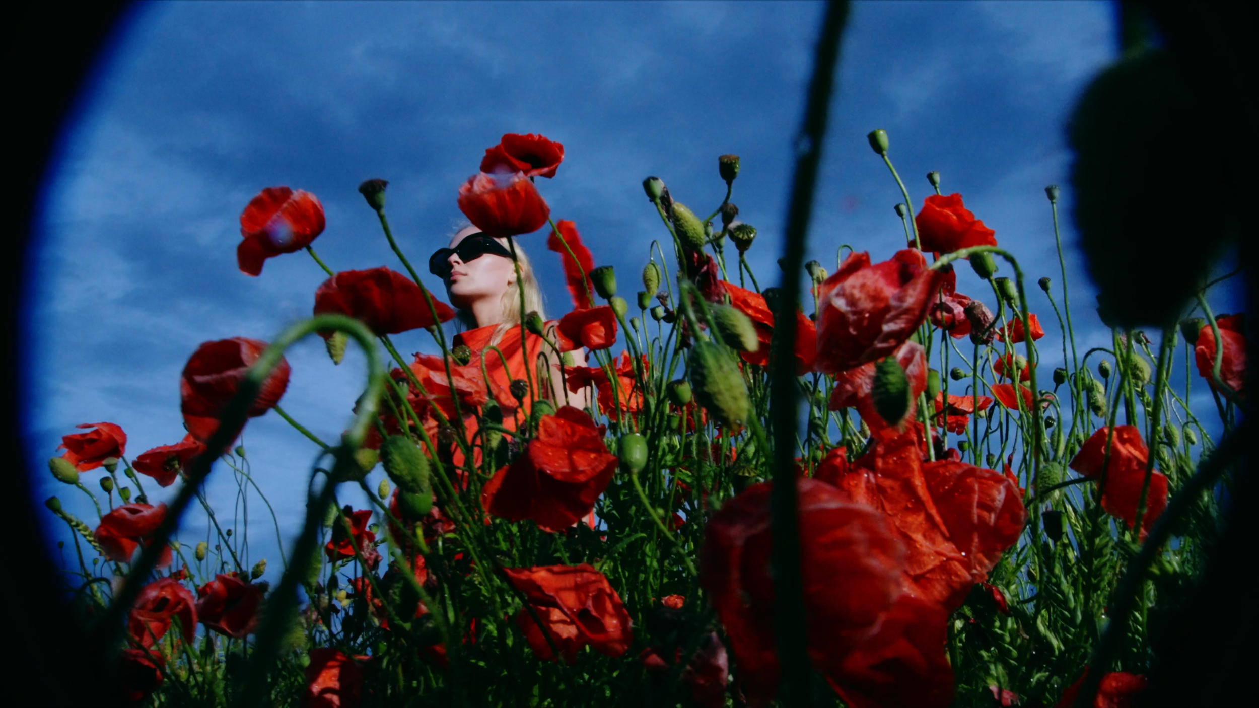 A woman with blonde hair wearing black sunglasses and a red top standing among red poppy flowers outdoors with a blue sky in the background.