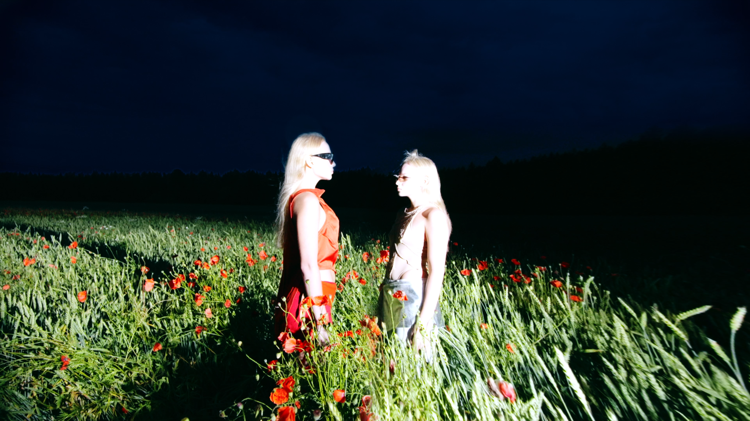 Two women standing in a field of red poppies at night, illuminated by artificial light, with a dark sky and forest in the background.