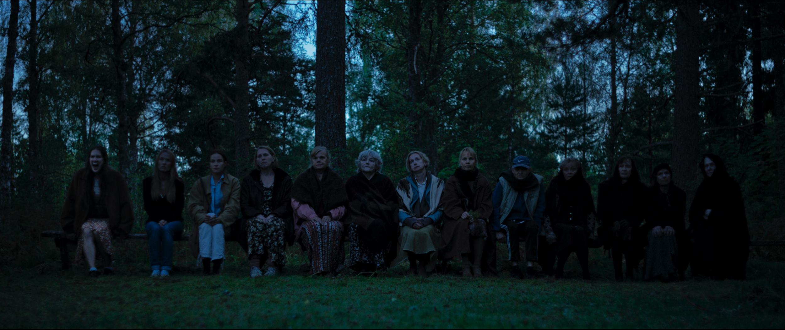 A group of eleven women sitting on a bench in a forest at dusk or dawn.