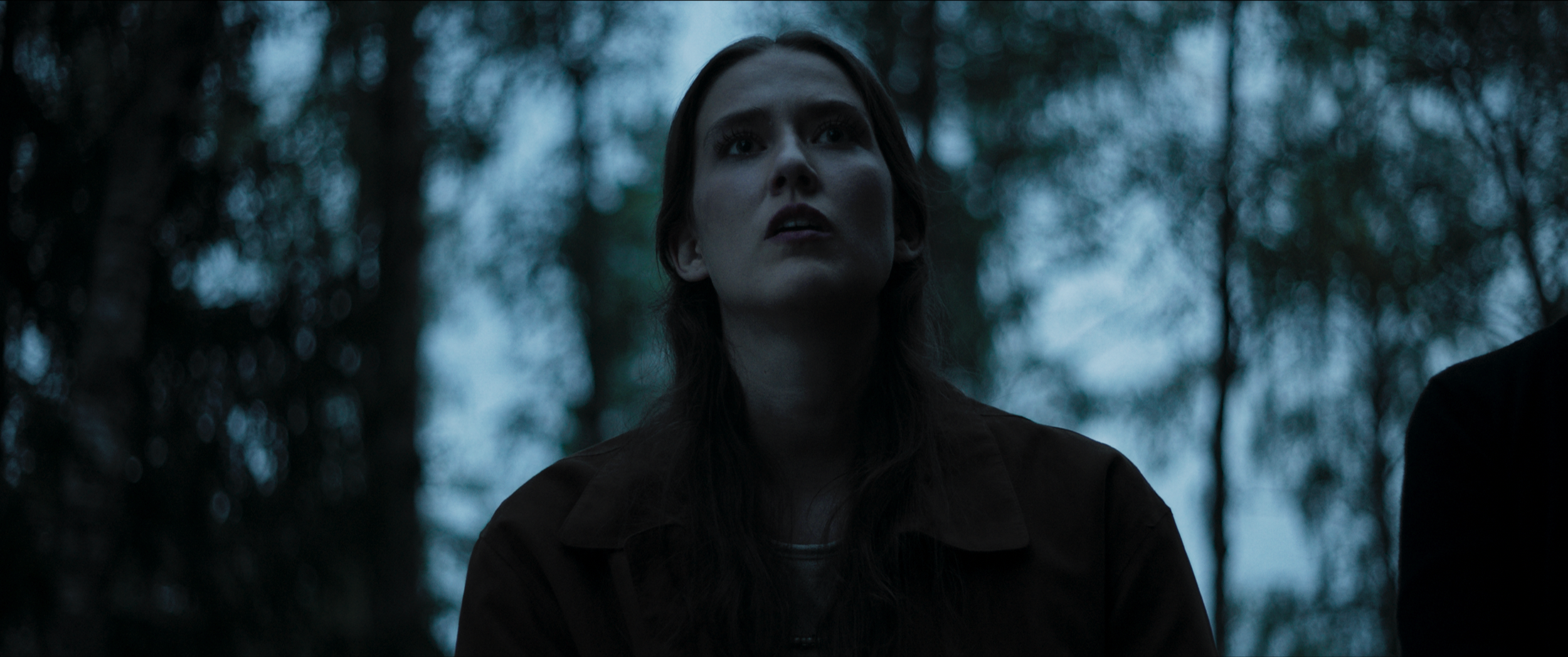 A woman with dark hair and fair skin gazes upward with a serious expression in a forest with blurred trees and a cloudy sky in the background.