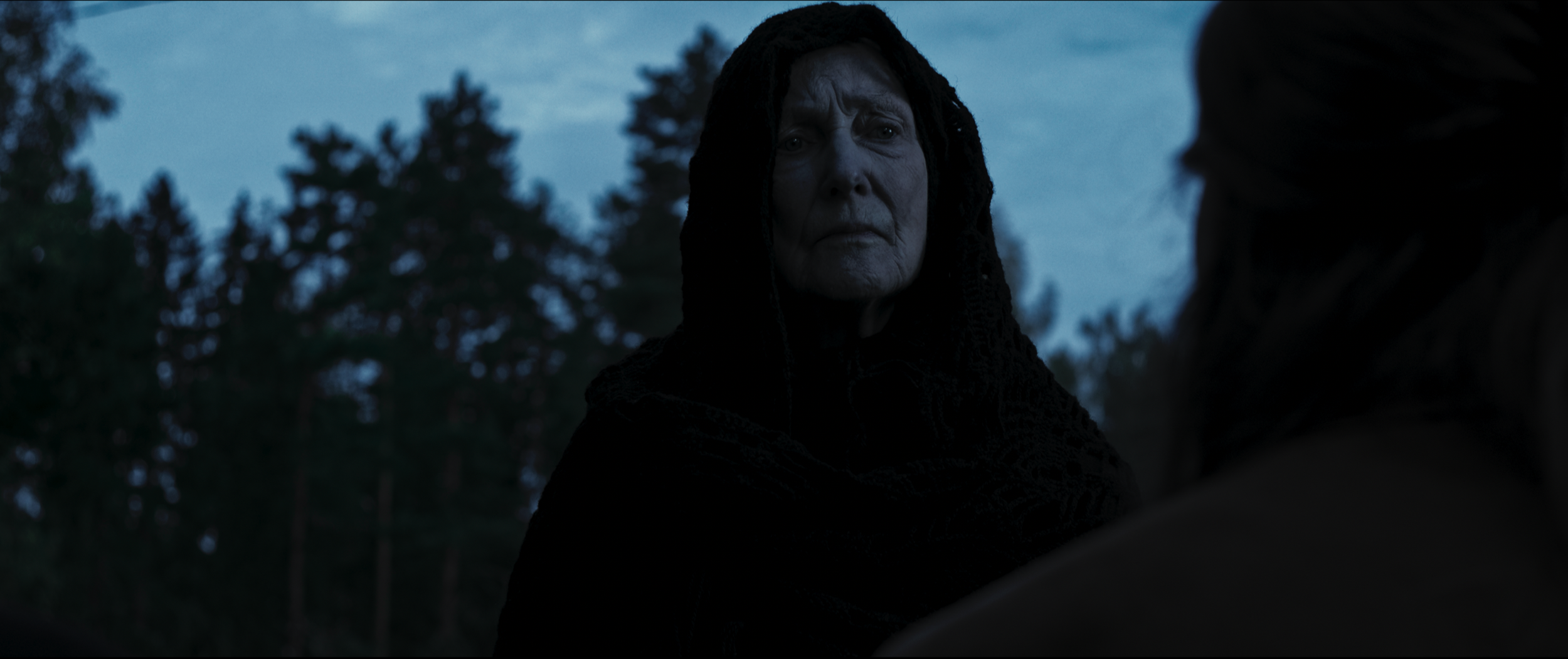 A dark scene showing a woman with gray skin and black hair, wearing a black hooded garment, looking at someone outside the frame against a background of trees and a bluish sky.
