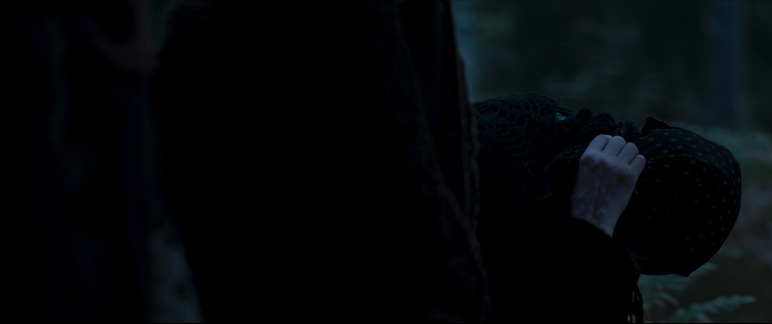 A person wearing dark clothing, lying on the ground in a wooded area, partially obscured by darkness and trees, with only part of their arm and hand visible.
