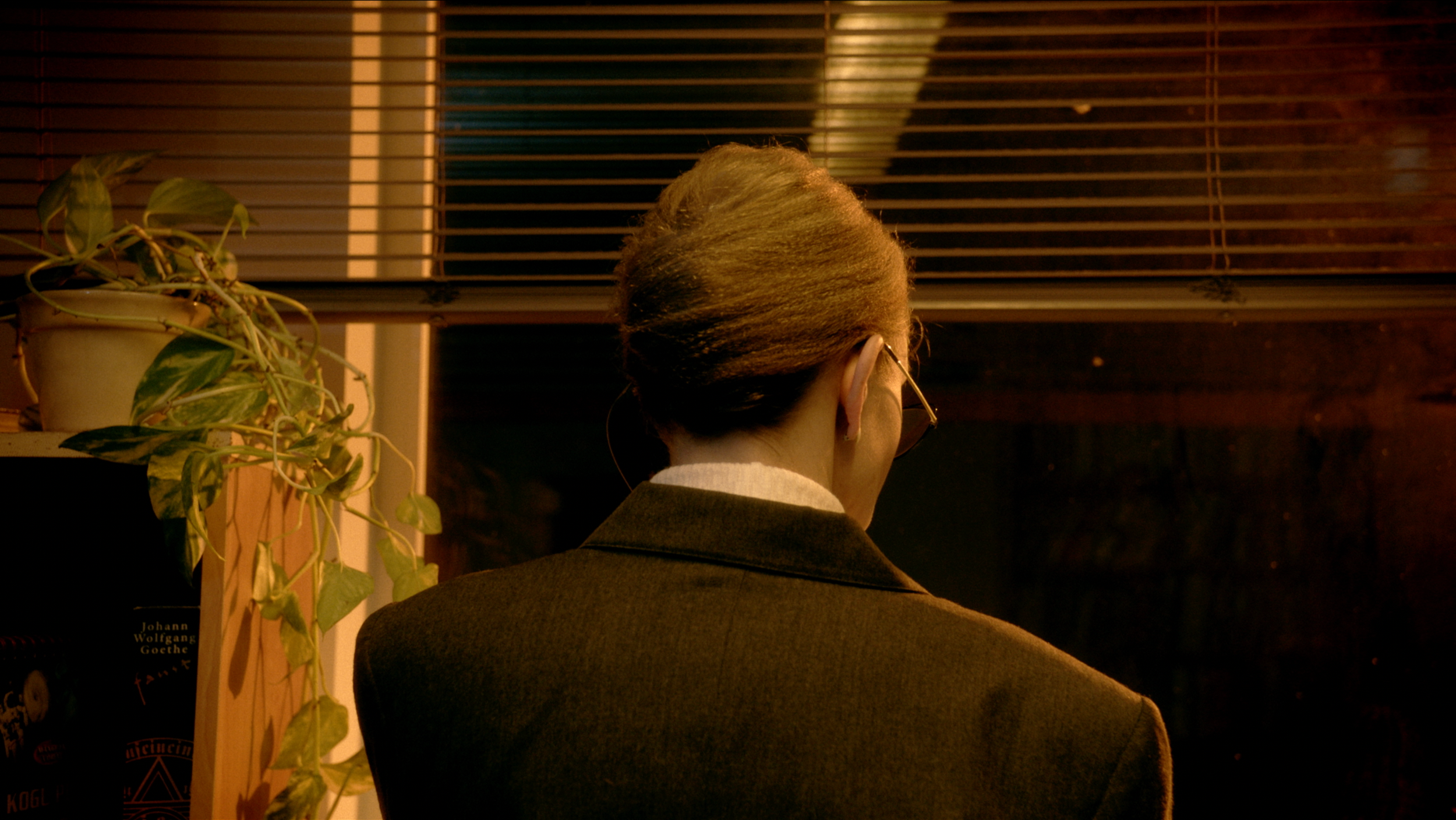 Rear view of a person with short hair, wearing glasses and a suit, standing indoors near wooden blinds and a potted plant at night.