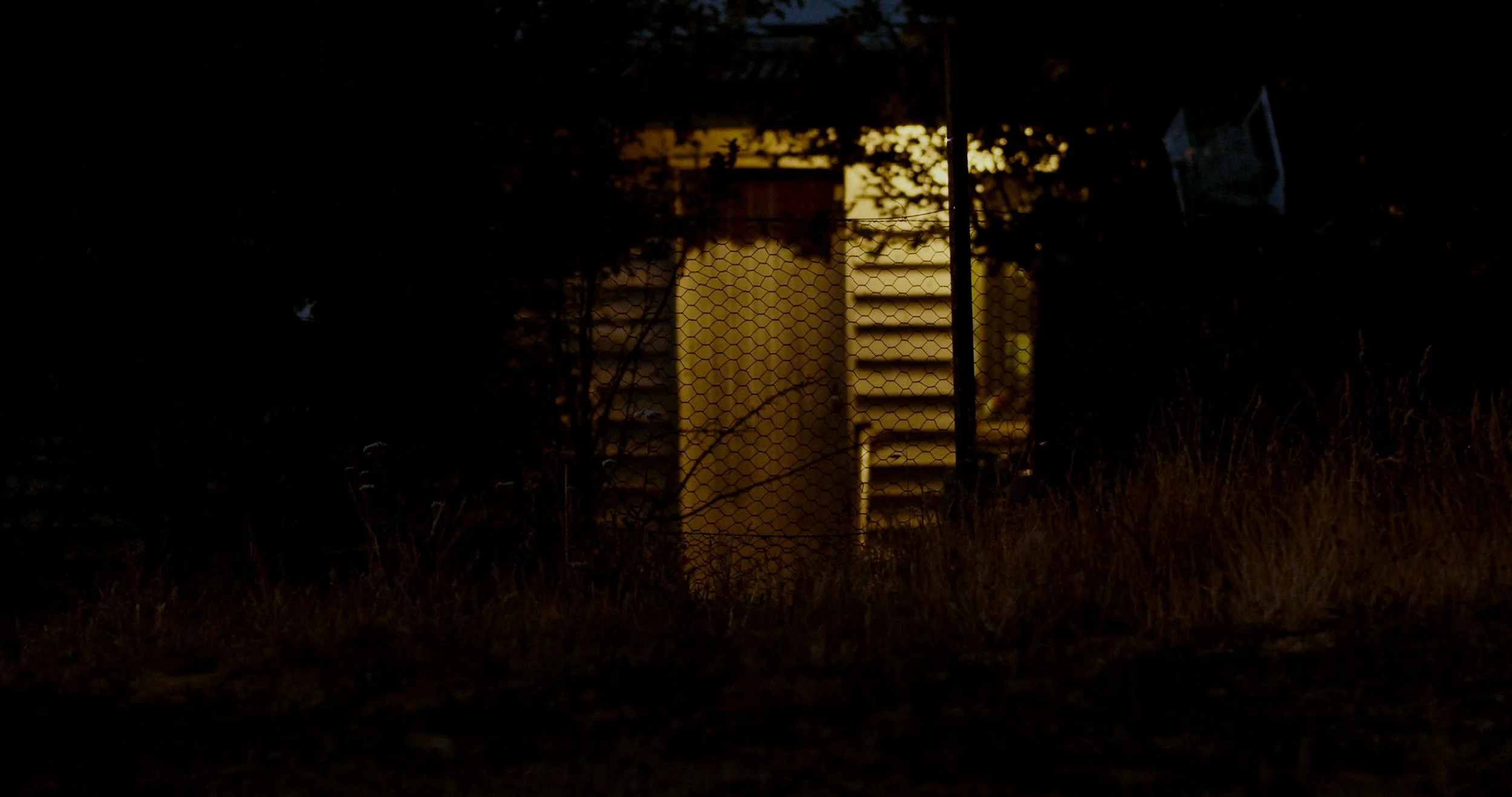Dark outdoor scene with a chain-link fence and an illuminated staircase structure behind it, surrounded by trees and grass.