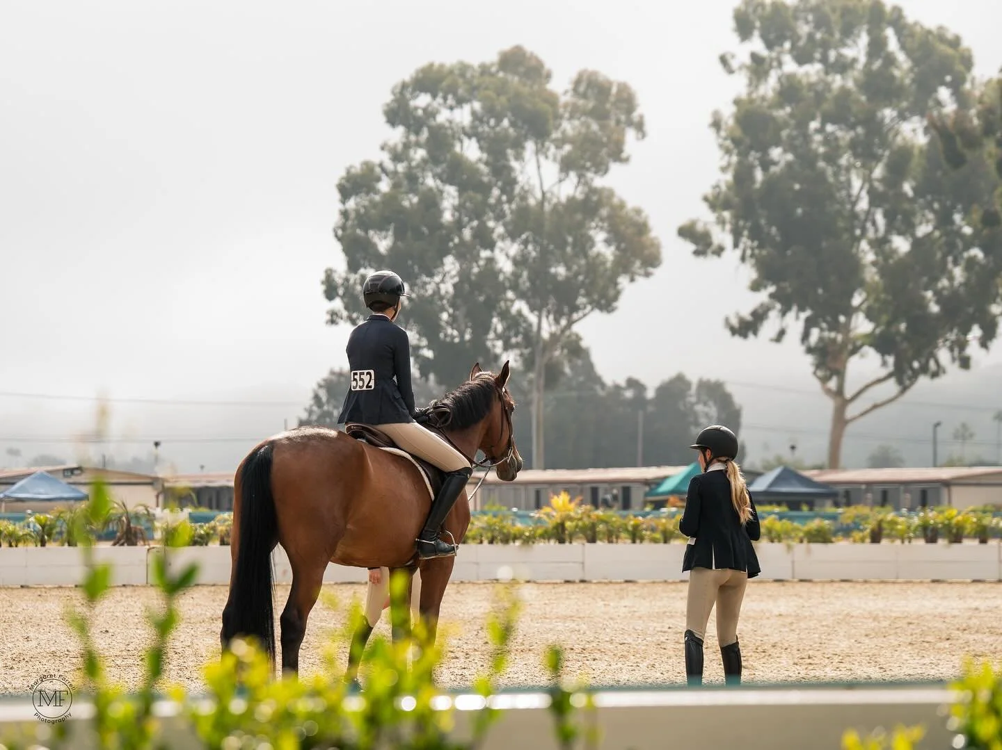 Even though the days were long, the weather was nice and the horses were good, I'd call that a successful county show! Huge congrats to everyone on the @flowerhillfarms team for doing great this weekend! 

#photography #horse #horsephotography #delma