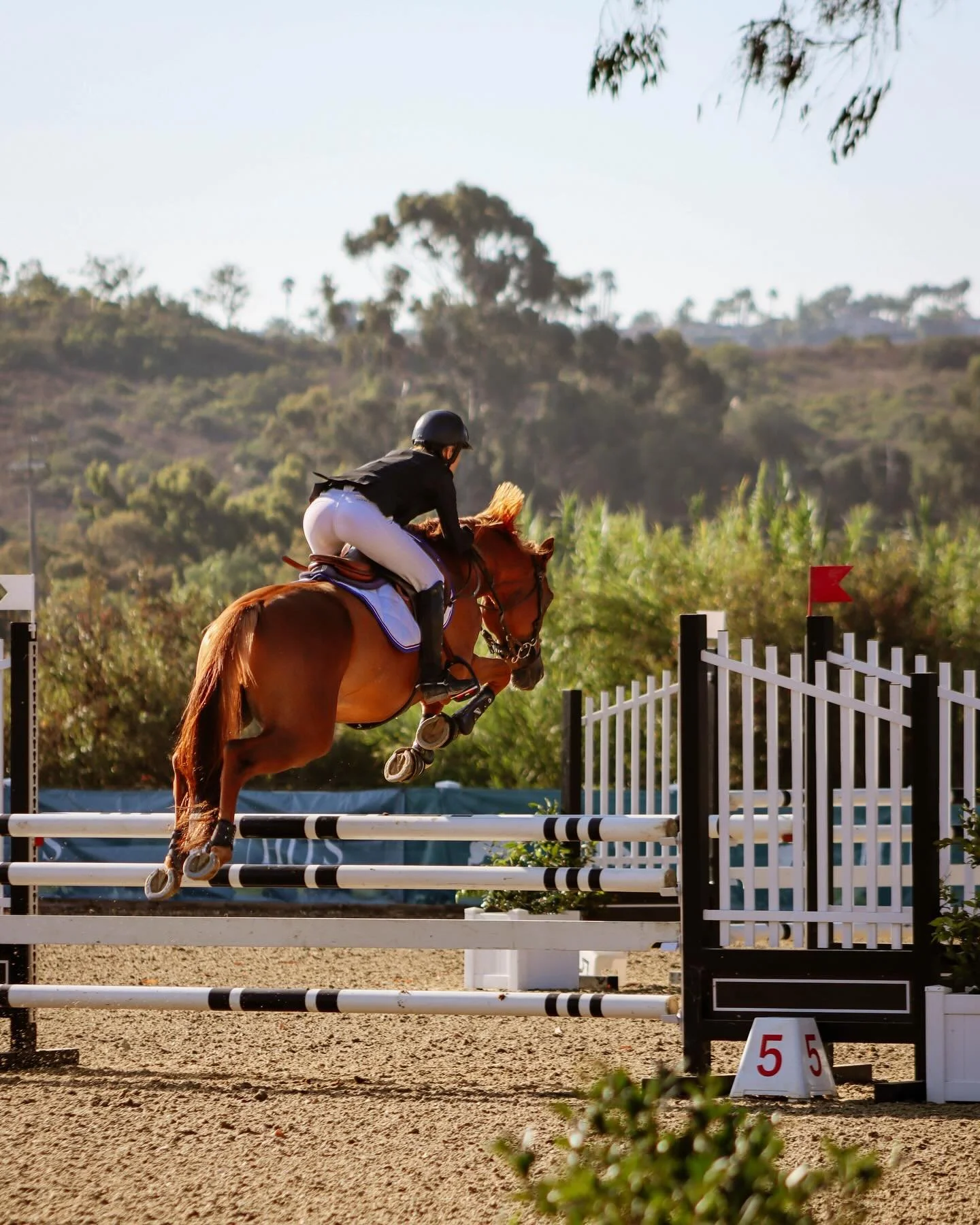 Margaux and Charly just cruising around the 1.10 😍🙌