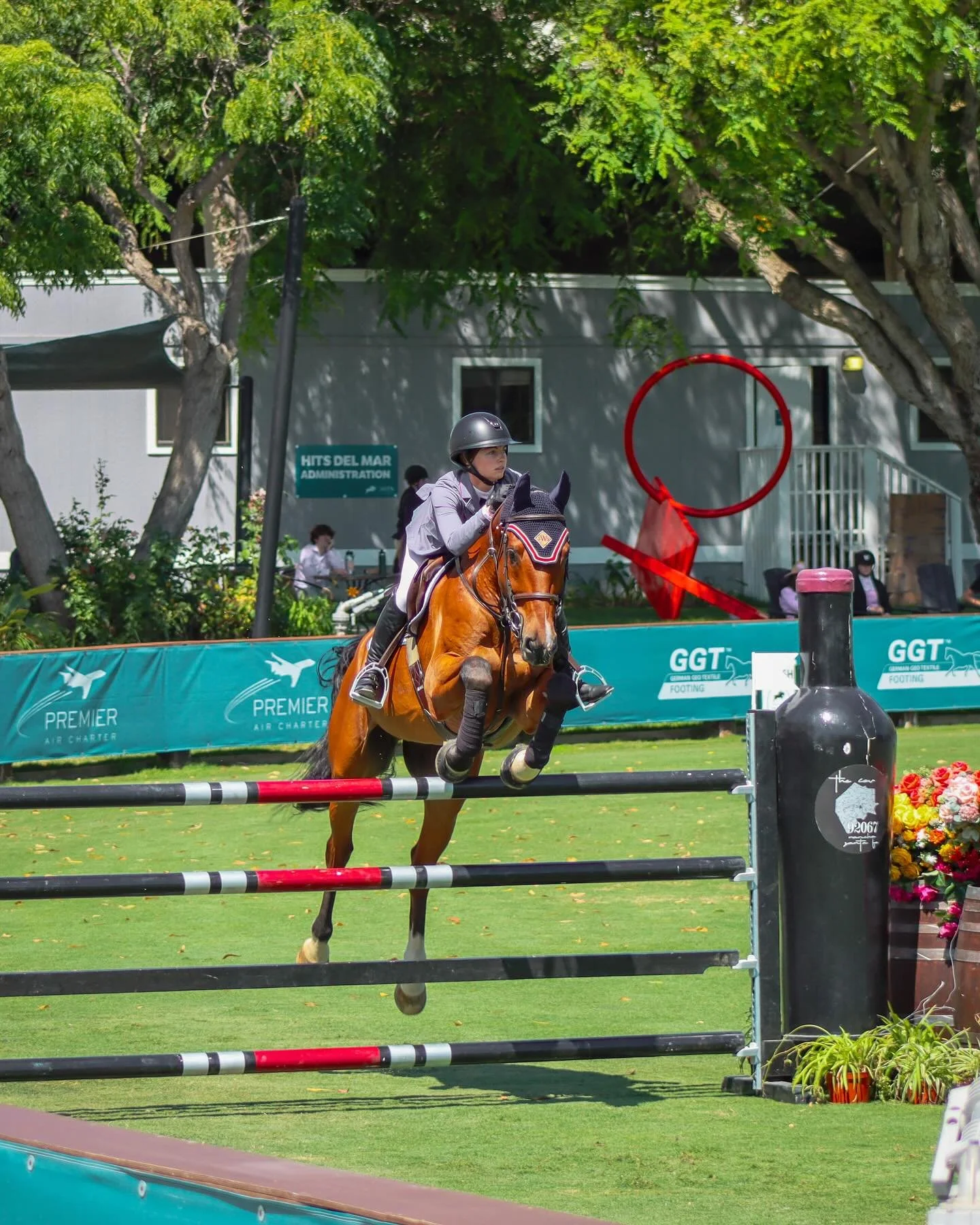 Jessie Rechs and Oasis 🏝️