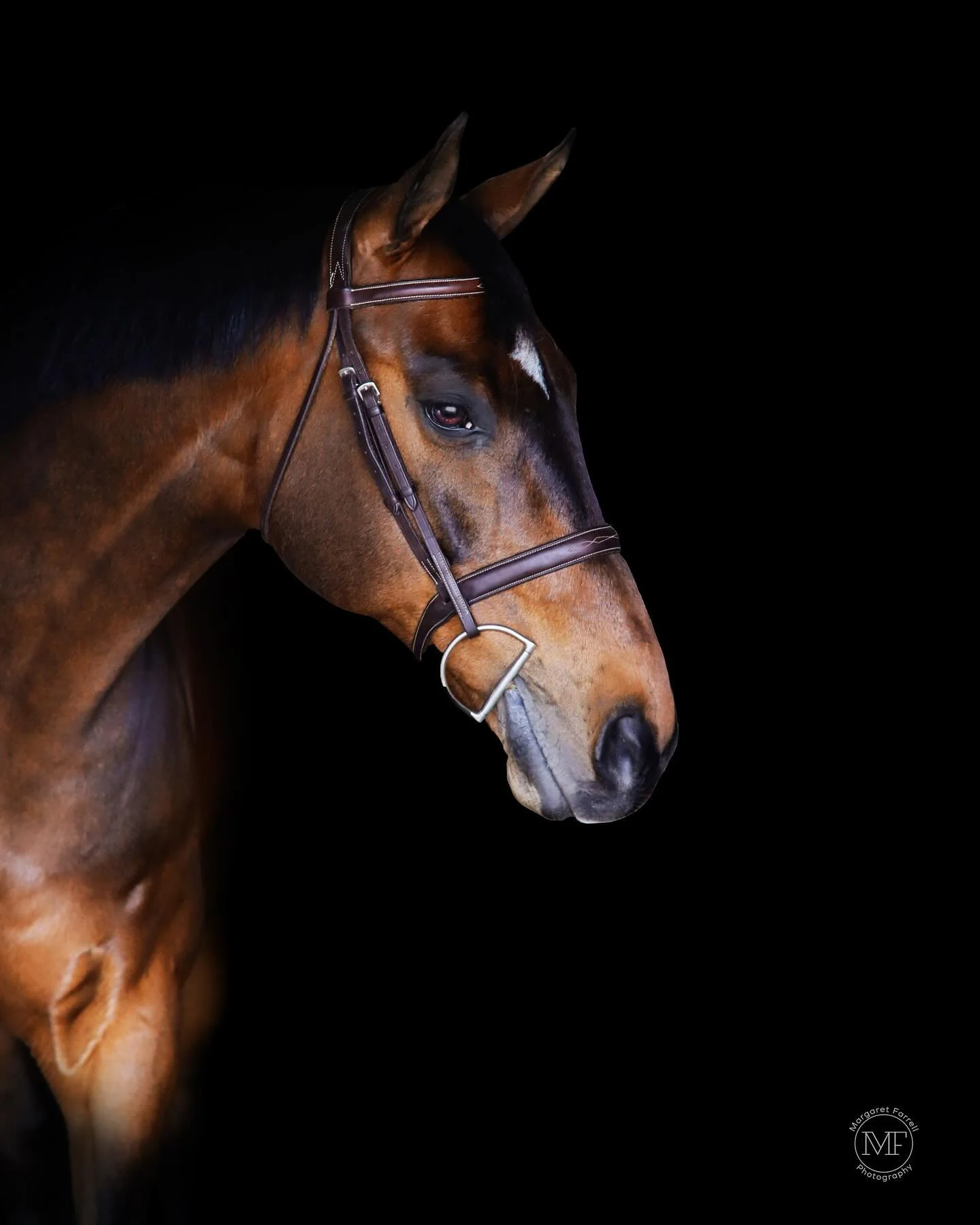 Practicing my post production skills some old photos! The last one is a new rendering of one of my previous posts, it's interesting to see how much I've progressed and learned while attending San Diego State. Website will be up soon!