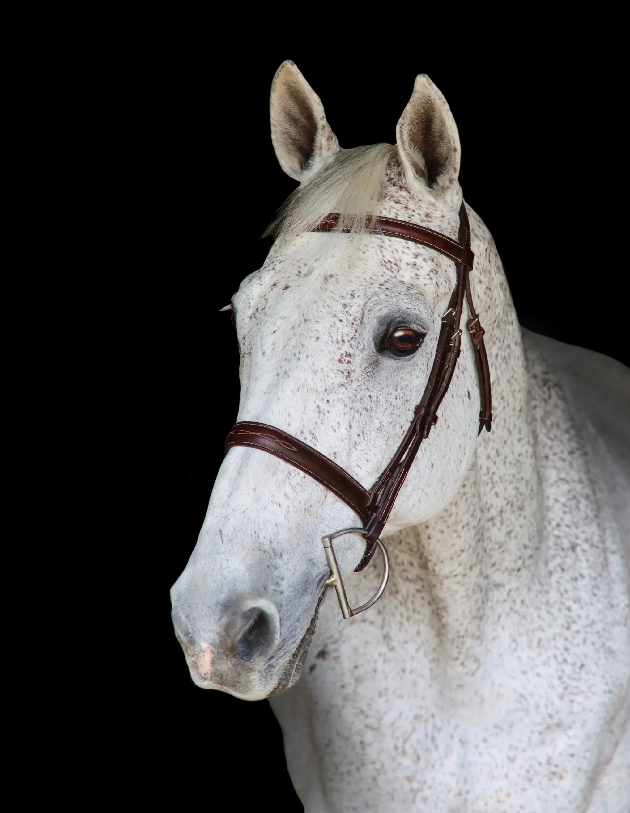 IMG_1084+3.jpg