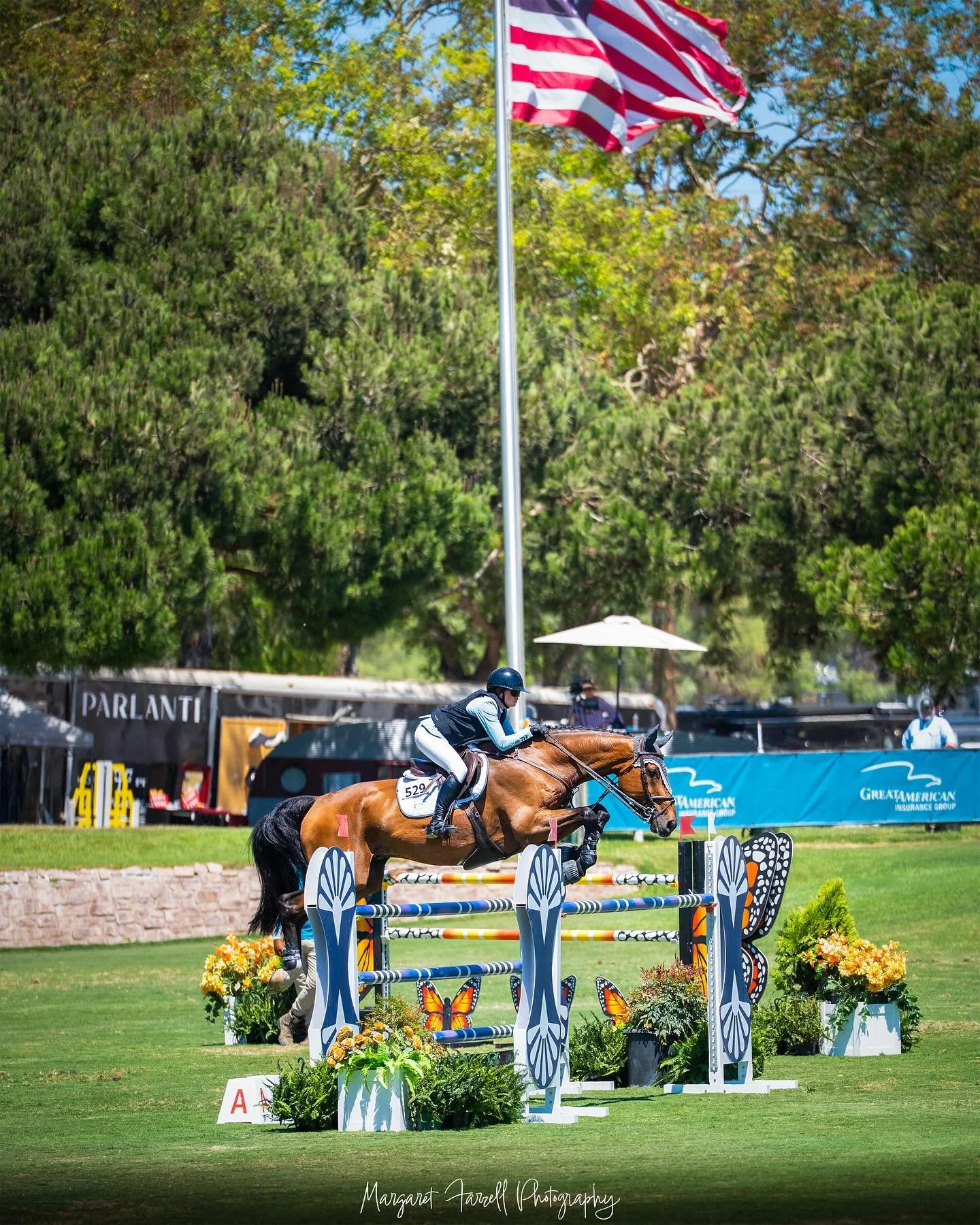 Molly Hutchison and Lord Alexander in the $90,000 Grand Prix 🙌✨

#photography #horse #horsephotography #delmar #equine #equinephotography #horsesofinstagram #photographer #photos #delmarhorse #horseportrait #horseportraiture #horseportraits #equinep
