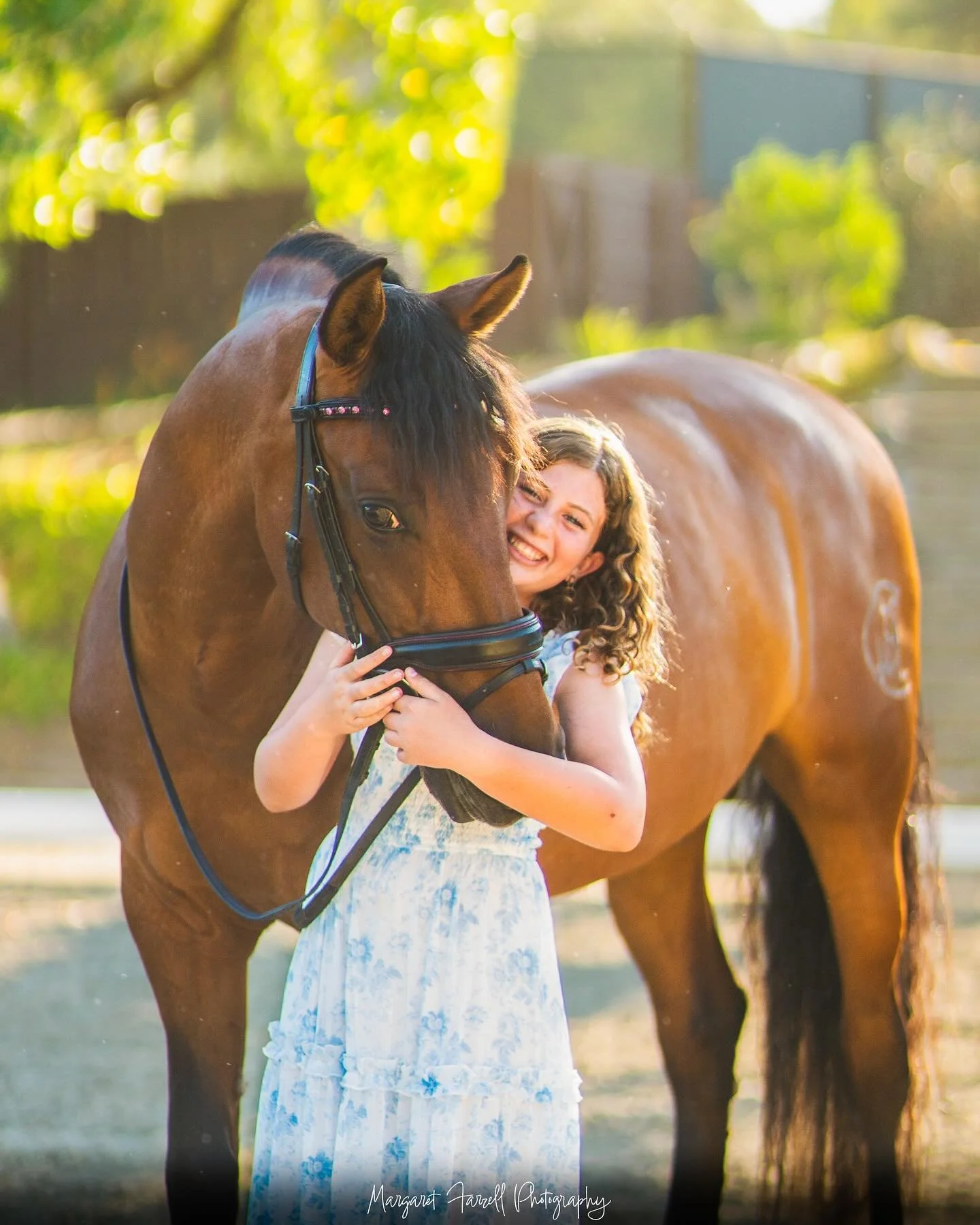 So grateful that I was able to capture the beautiful Carnick Family this summer 🩵

Family portrait sessions are available now!

#photography #horse #horsephotography #delmar #equine #equinephotography #horsesofinstagram #photographer #photos #delmar