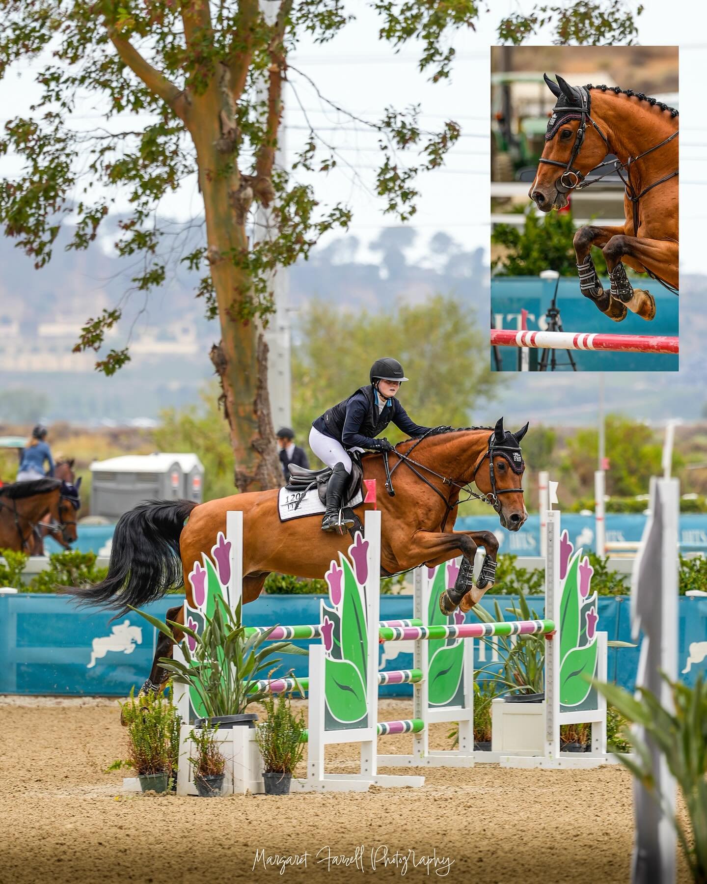 Photo series of Sadie Wellman and Oasis II from the League $5,000 1.05m Classic! Watching these two turn and burn was something else ⚡️⚡️