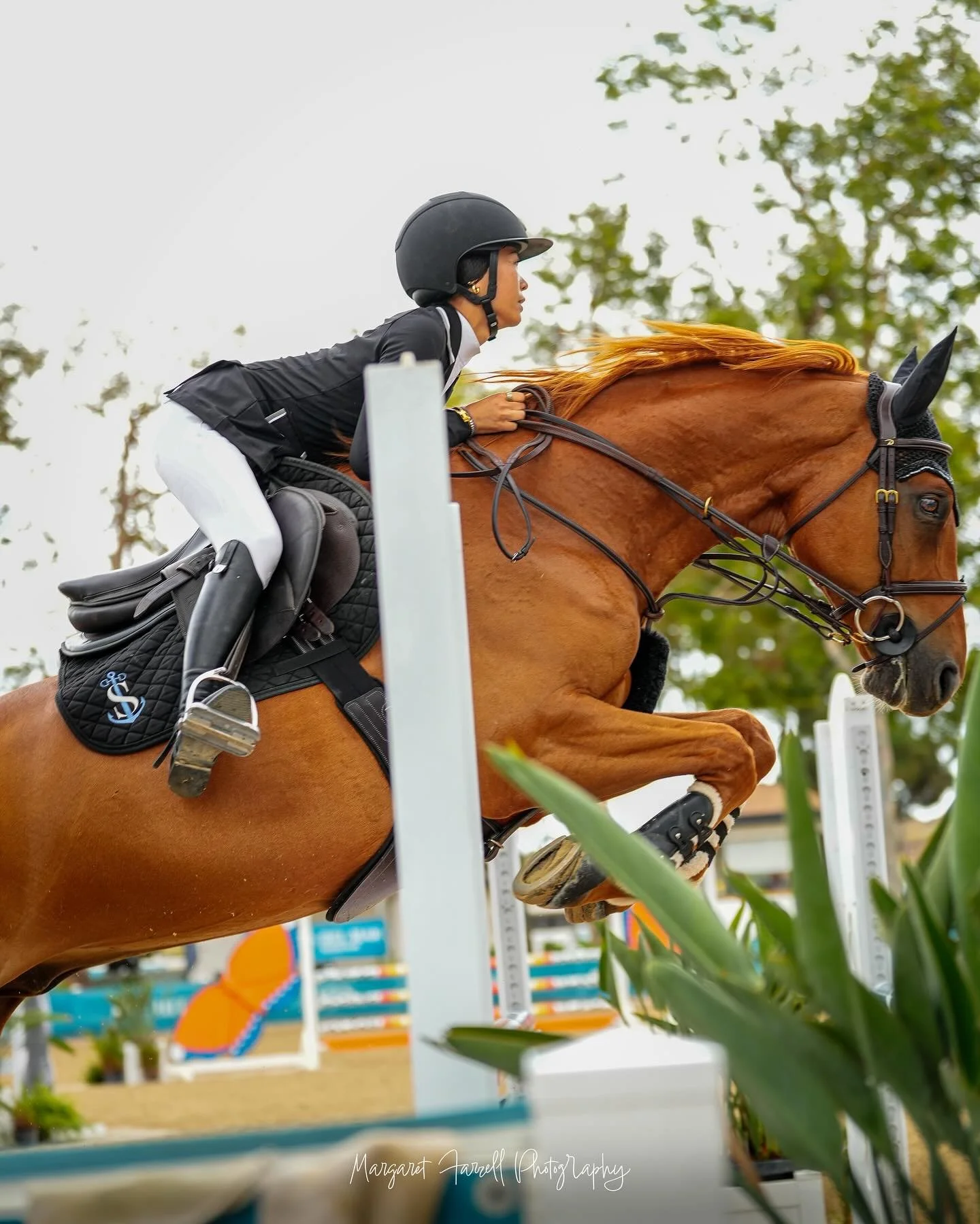 Almost too fast for me to catch! Lilian Muzzy and Call My Name 4 WIN the $5,000 League 1.05m Jumper Classic!!