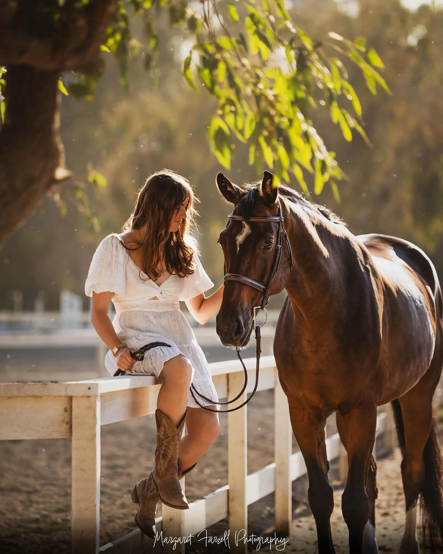 Kiera and Remi, a horse &amp; rider pair I have personally watched grow together as partners 🤍🤍 They were so lovely to shoot, Remi definitely knows how to pose!

#photography #horse #horsephotography #delmar #equine #equinephotography #horsesofinst