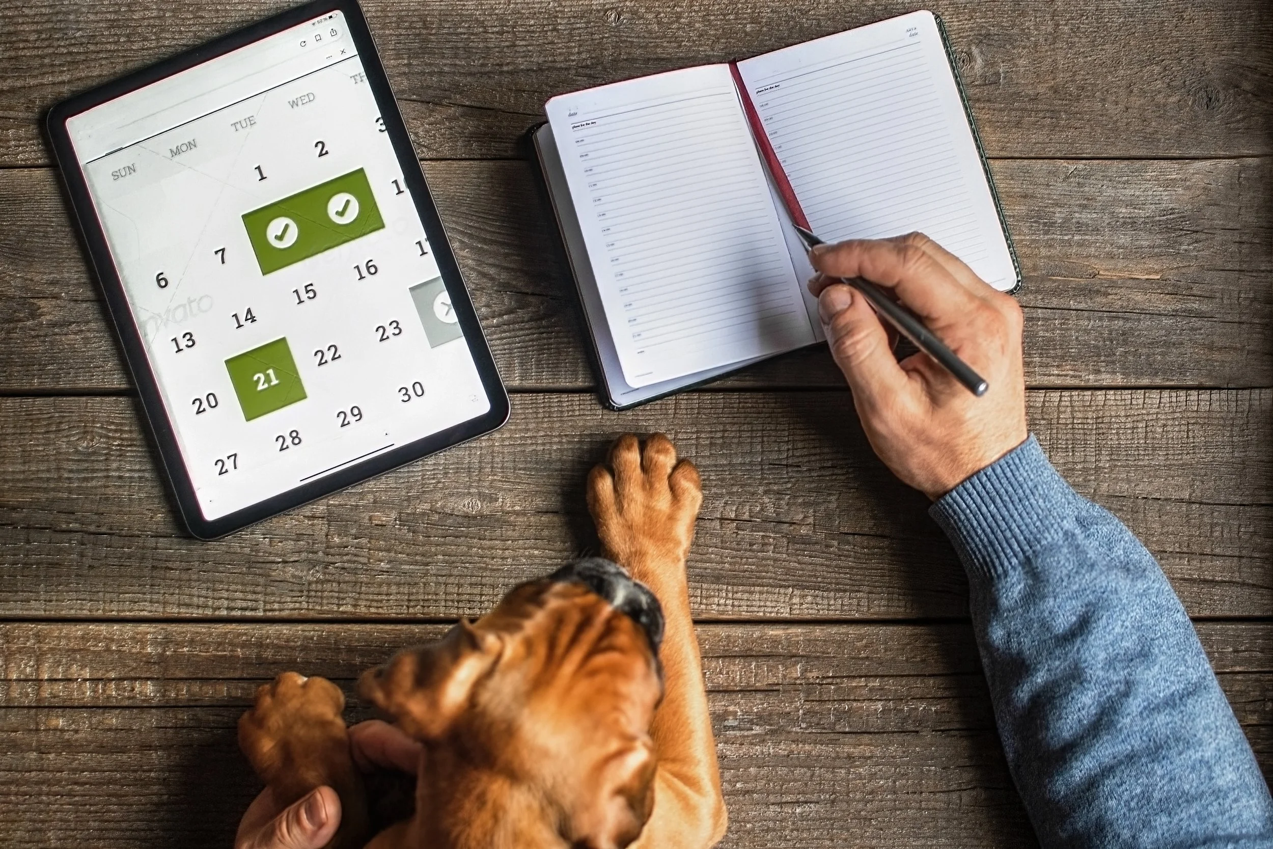 A person's hand holding a pen above an open planner notebook, a tablet displaying a calendar with marked dates, and a dog resting on a wooden surface.