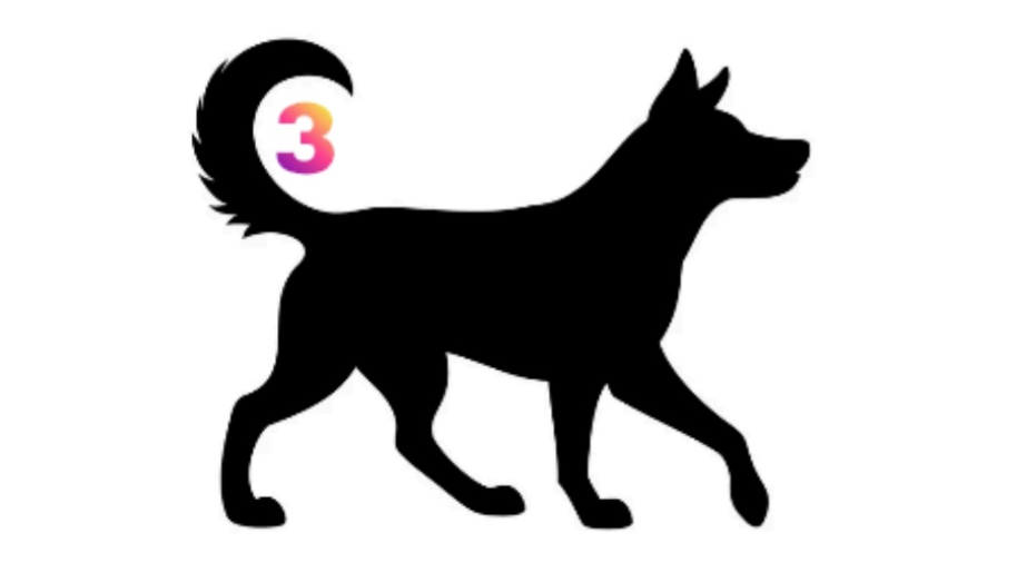 Custom Canine Creations