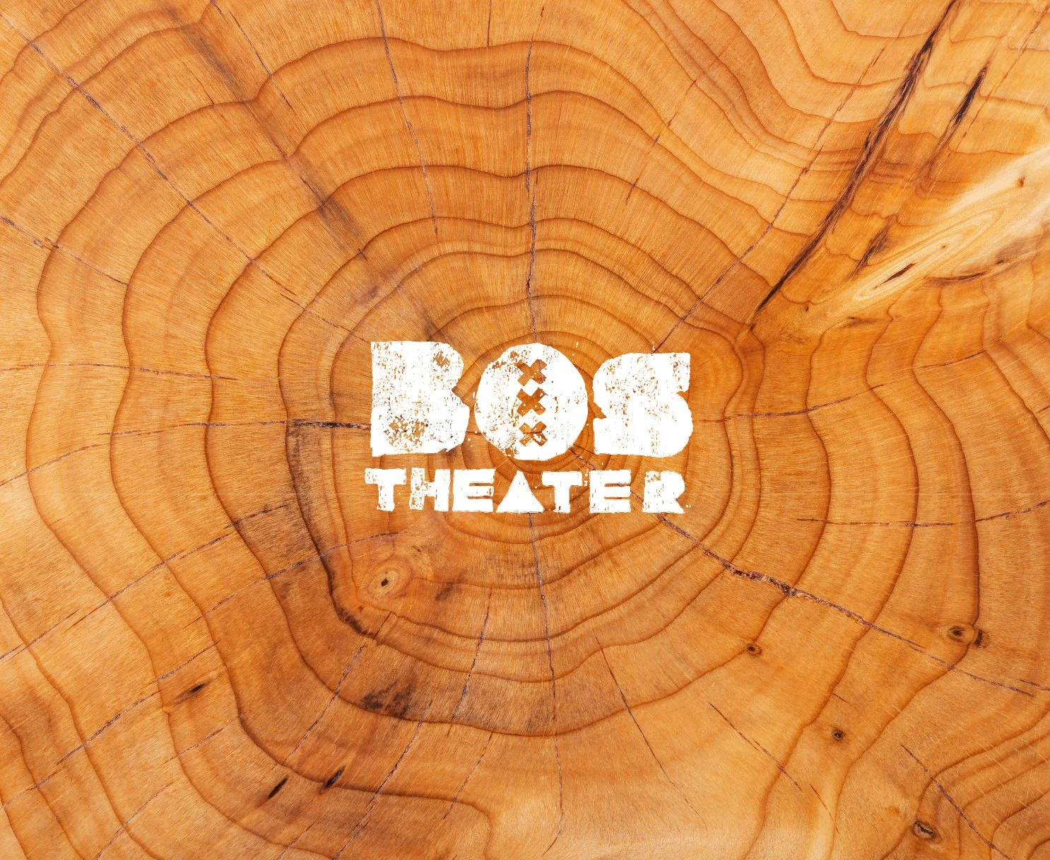 BosTheater