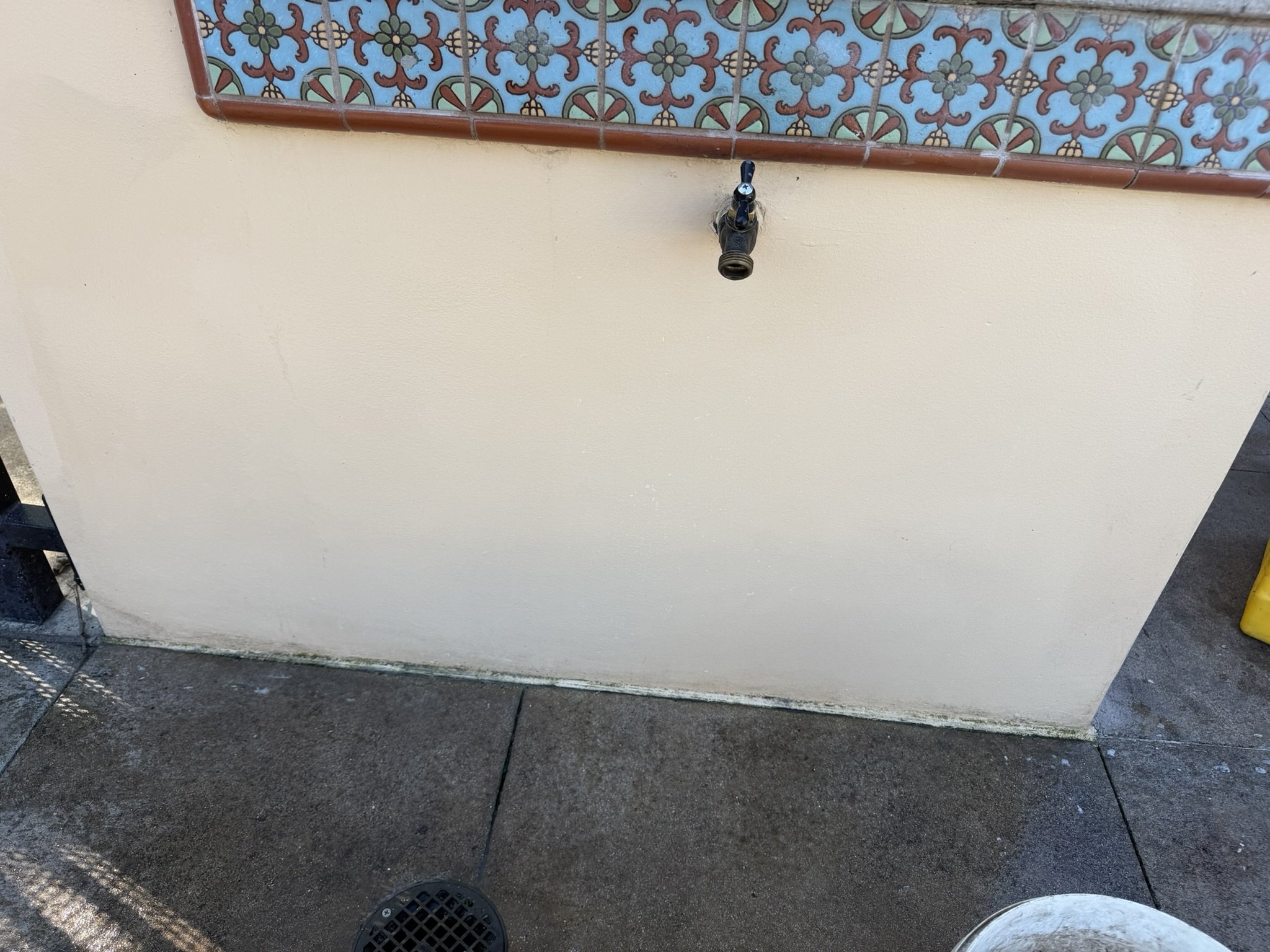 IMG_5149.JPEG