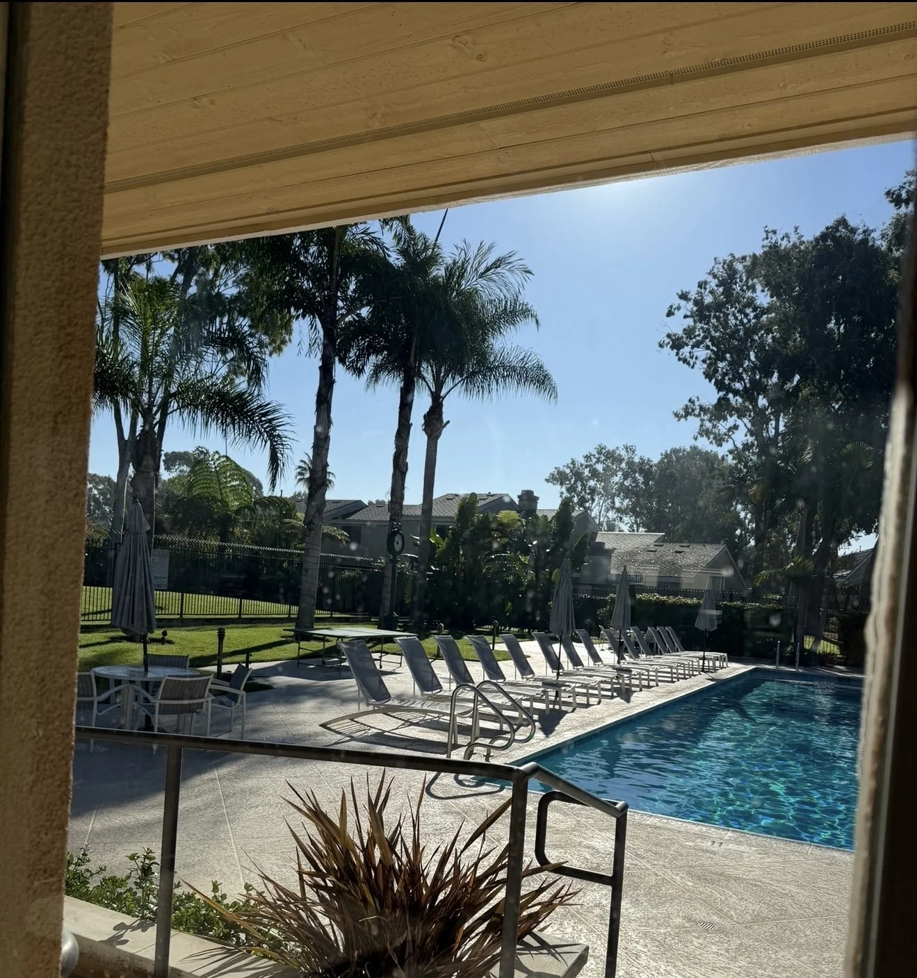 IMG_0630.JPEG