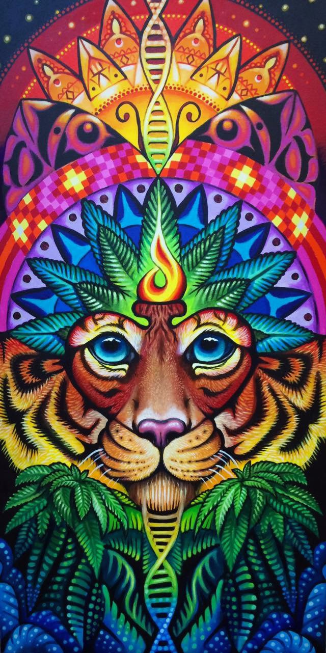 Leaph's Tiger - 2016