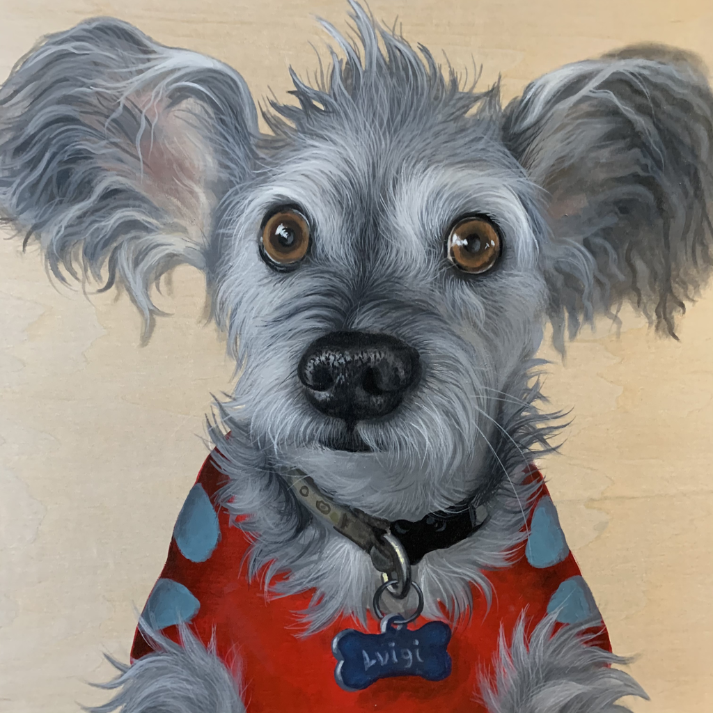 doggovest.png