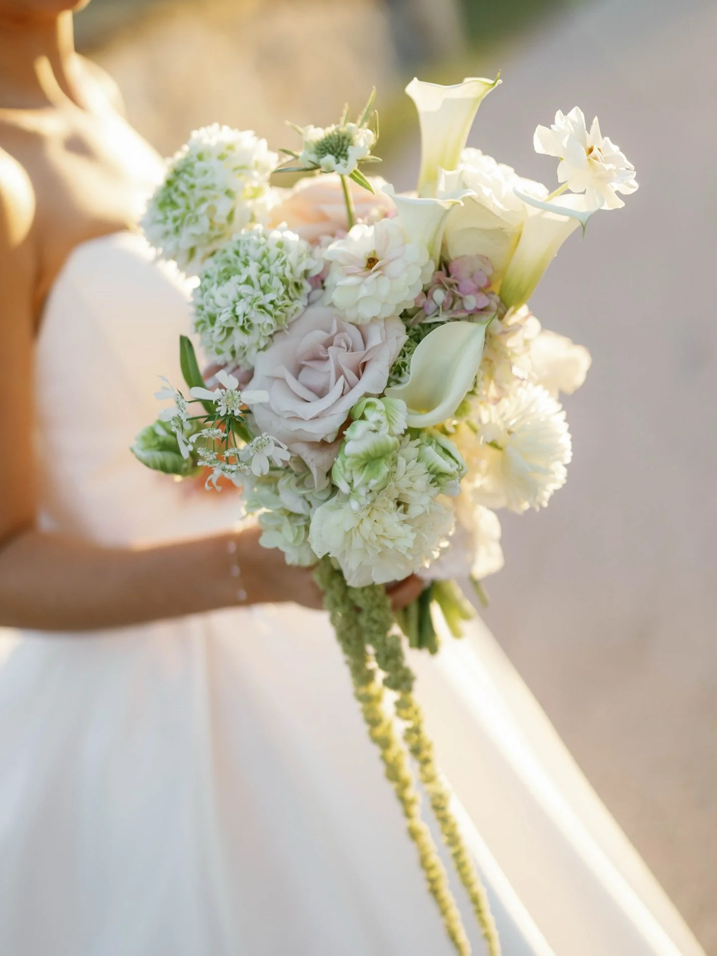 The smaller bridal bouquets I have been calling &ldquo;sweet petites&rdquo; have been a moment lately! I love a big bouquet always (biased), but these have really been the perfect balance of chic + fun!💐✨

Slides 5 &amp; 6 are so special to me. The 