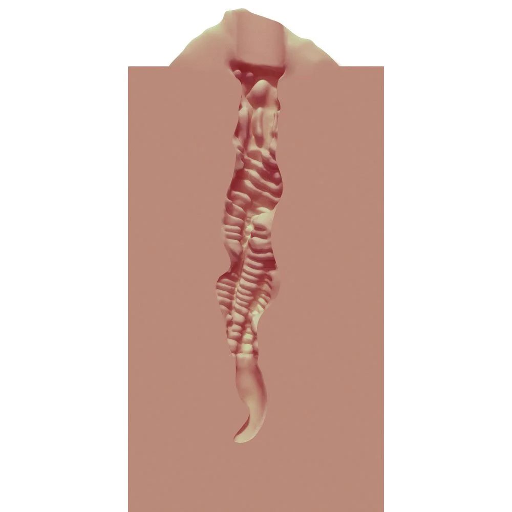 XKN001TAN_5.jpg