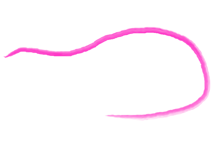 A neon pink line forming a loose loop with a black background.