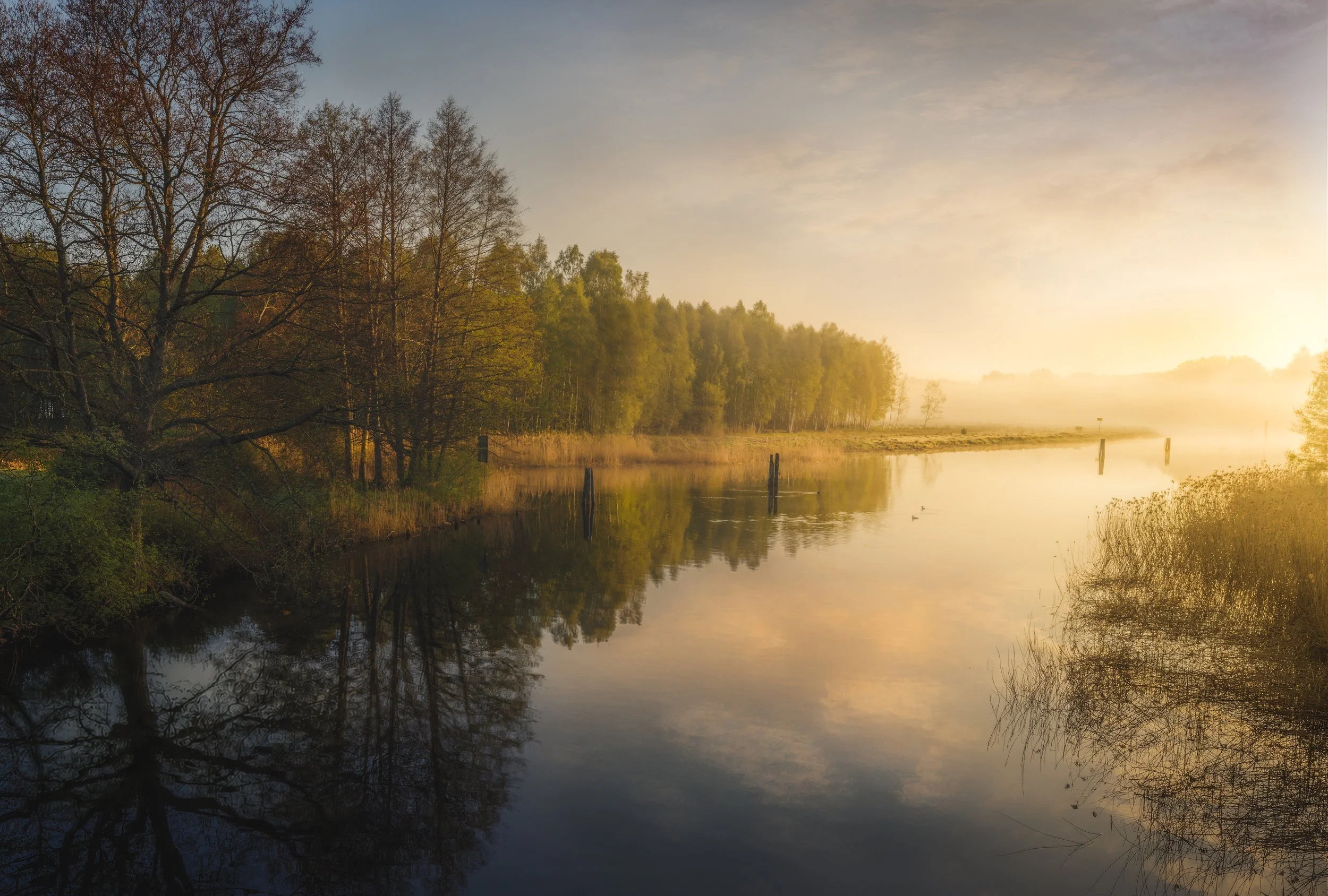 The Reward of Early Mornings