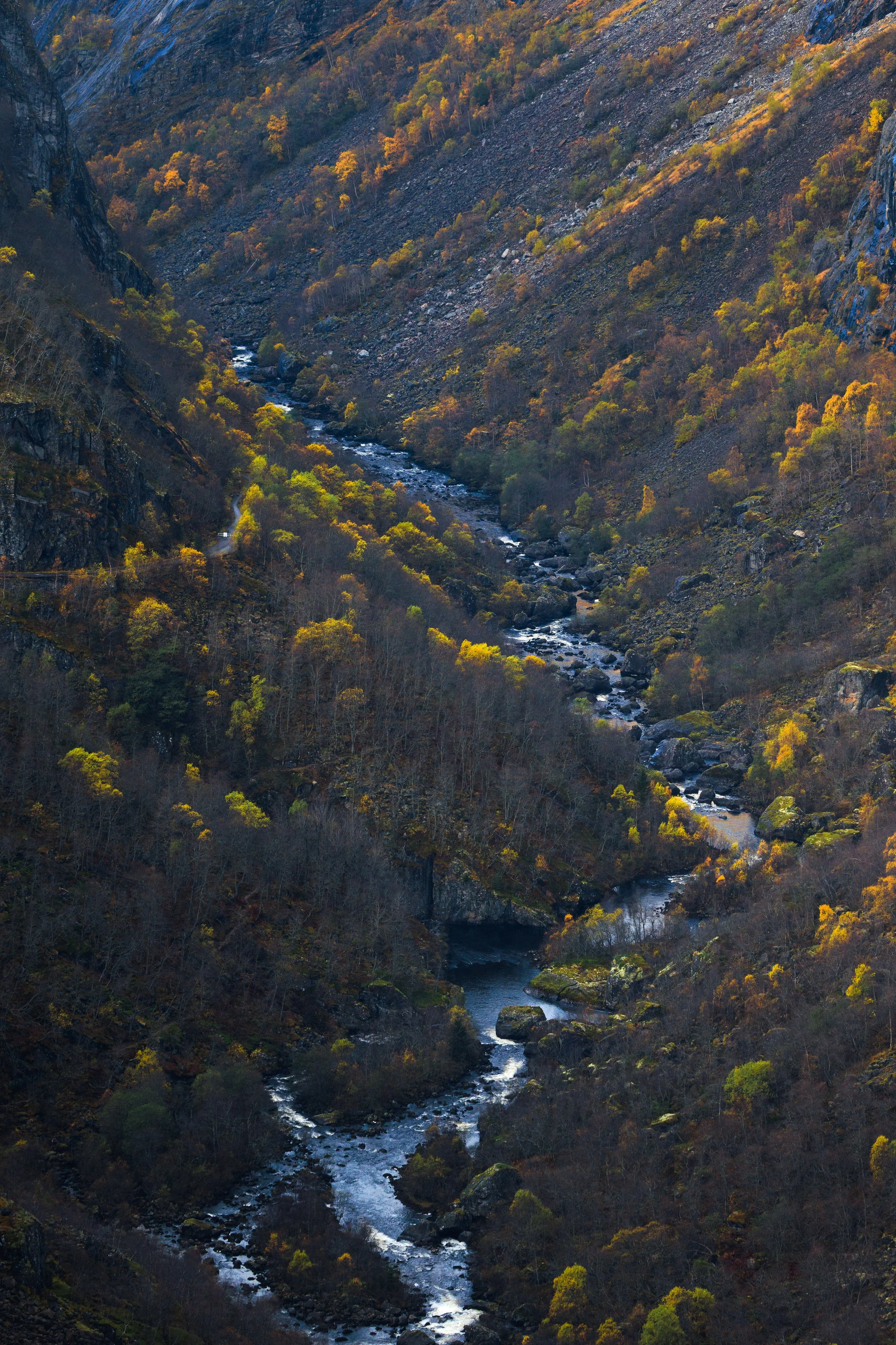 _58A9535.jpg
