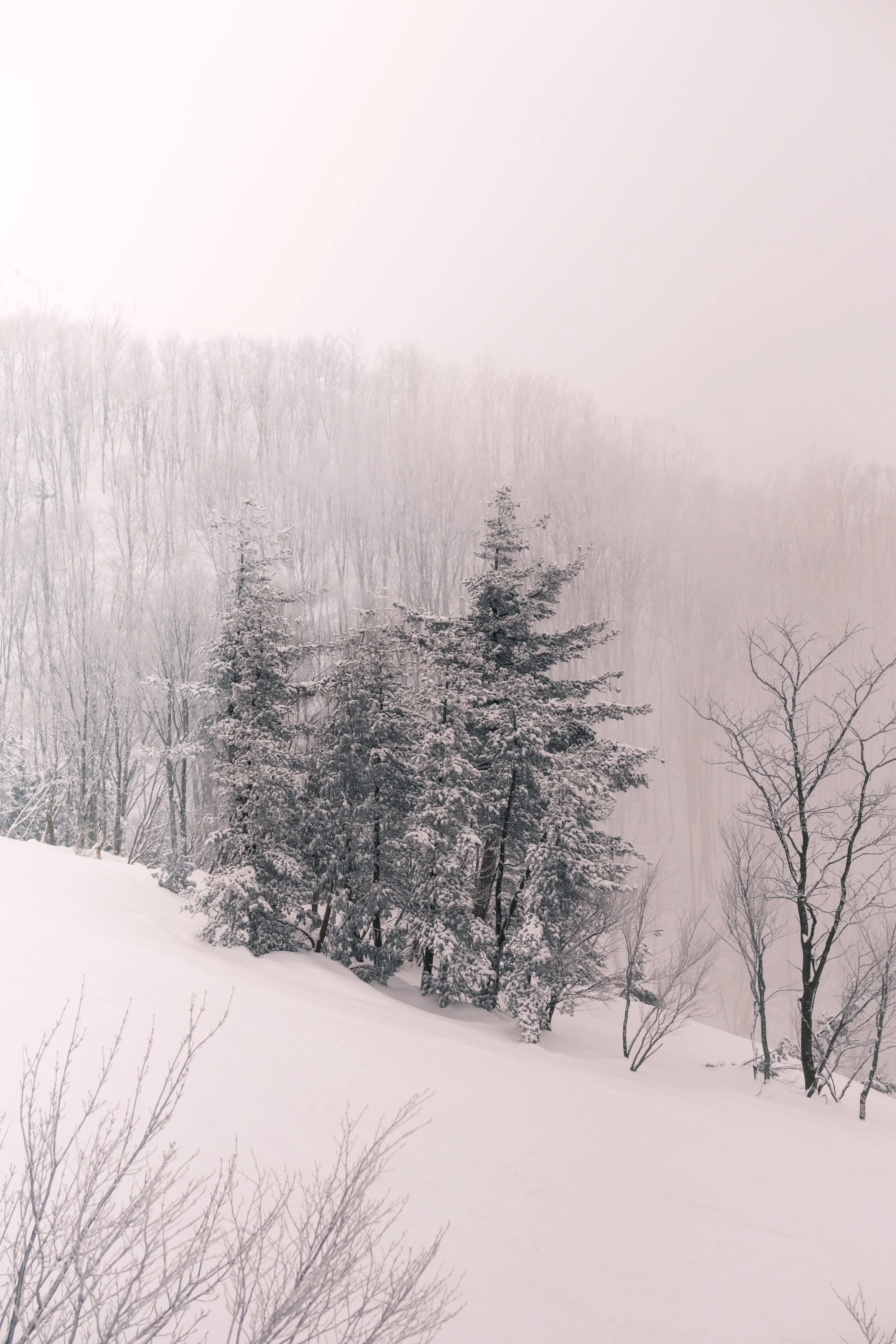 Happo One, Hakuba, Japan