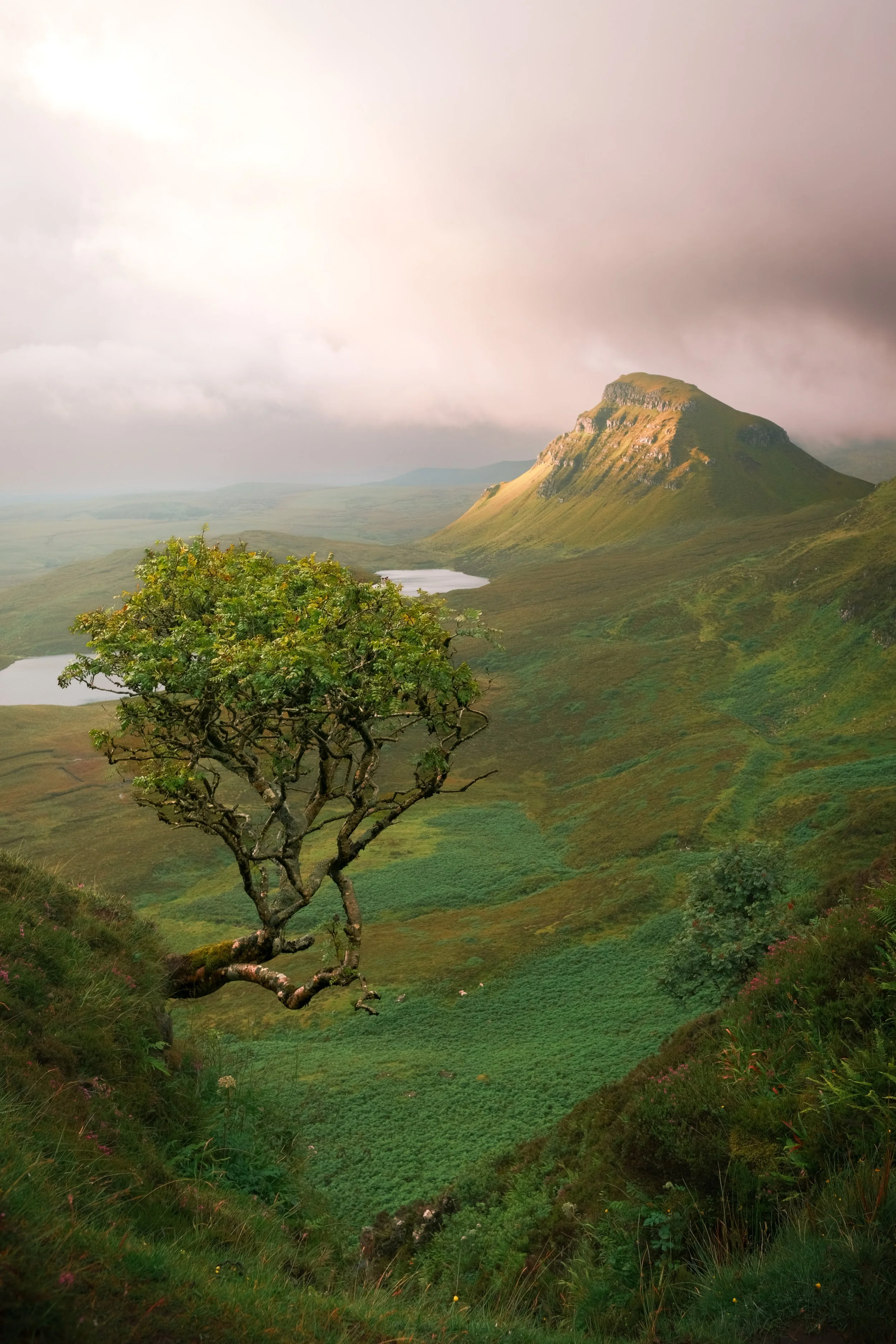 The Quiraing, Isle of Skye, Scotland