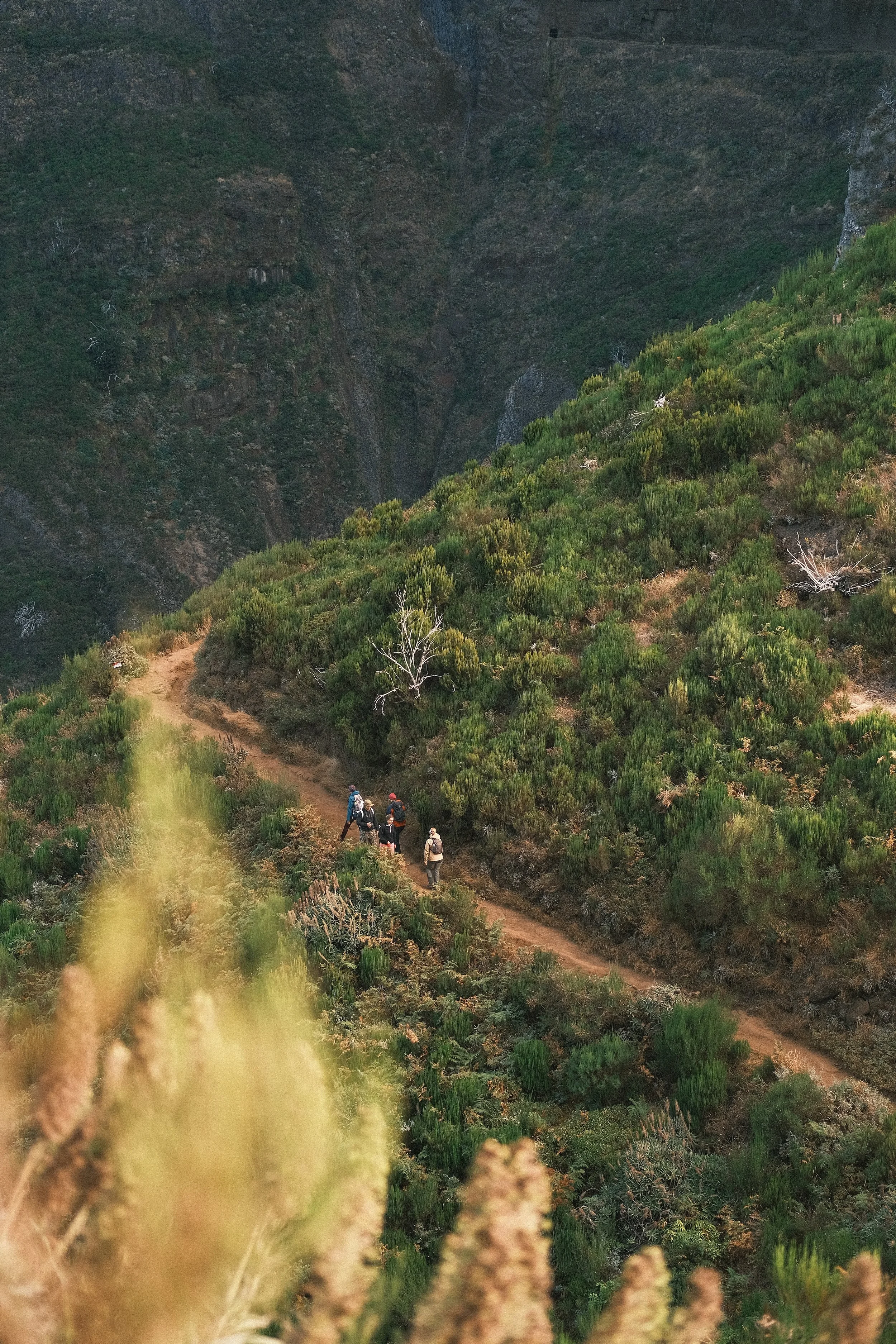 Pico Areeiro, Madeira