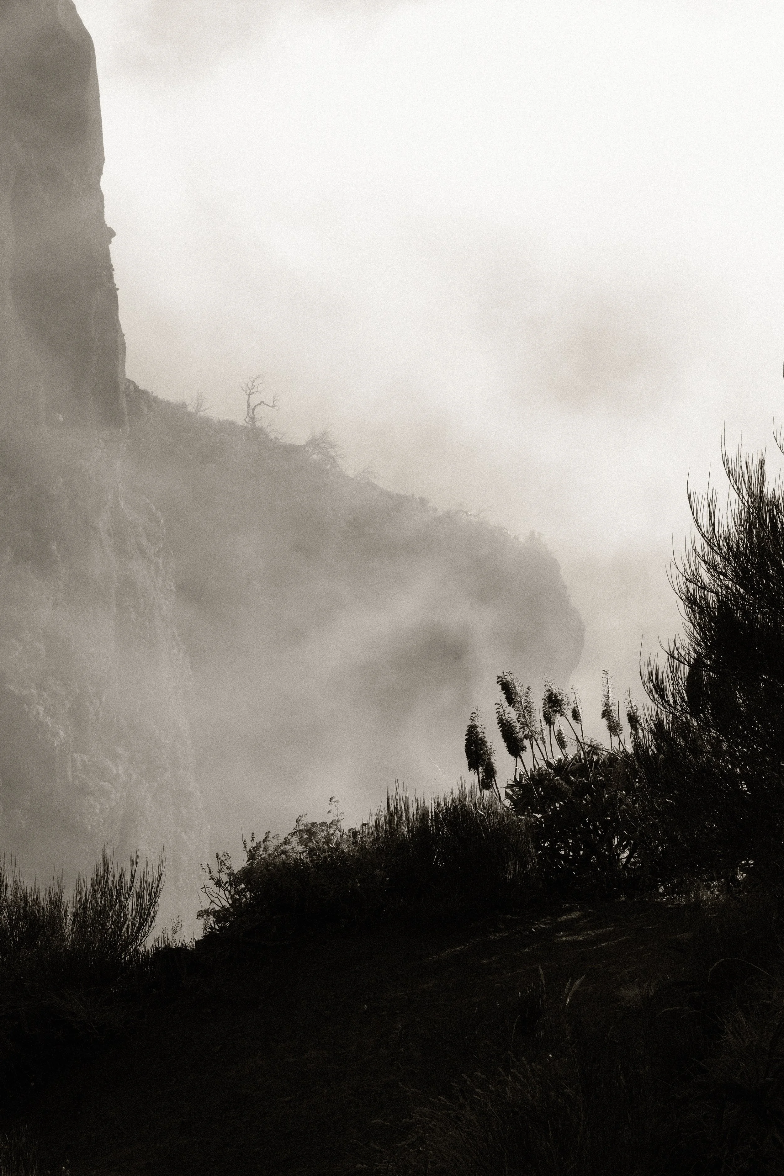 Pico Areeiro, Madeira