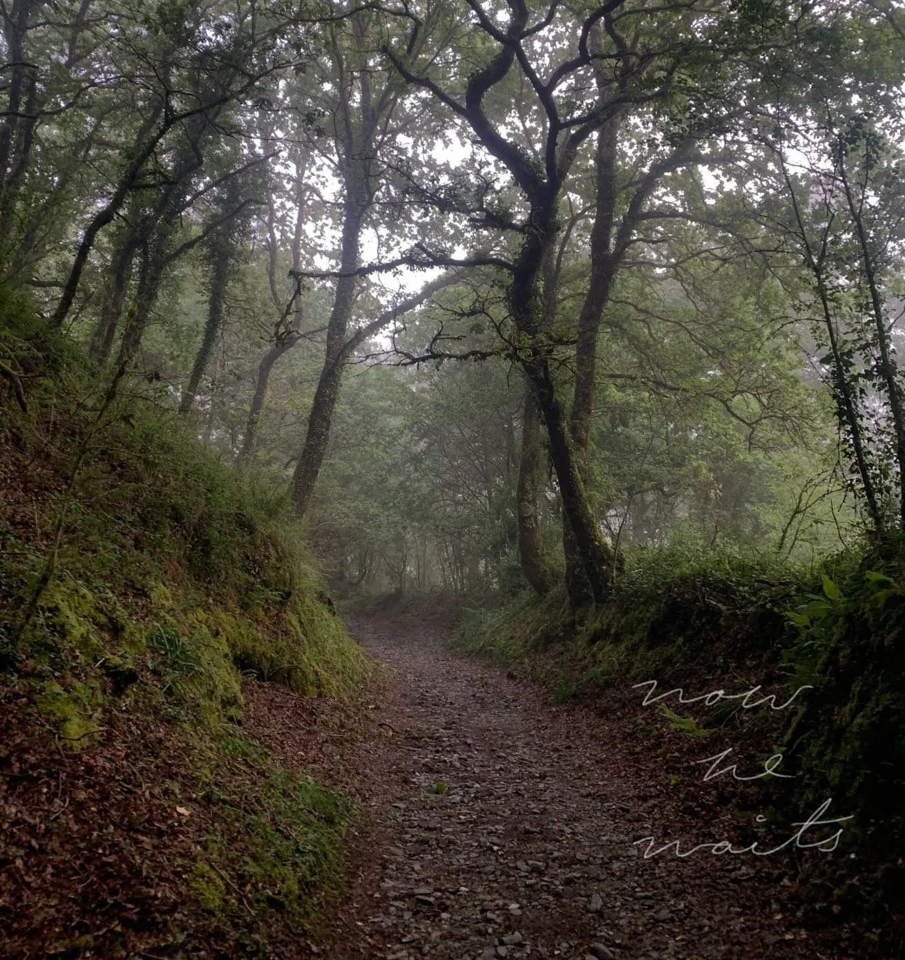 memento mori

&bull;
&bull;
&bull;
&bull;
&bull;
&bull;
&bull;

#poetry #fyp #explorepage #readers #writers

note - all visual &amp; written work featured on this profile is credited to mariana gutierrez serna