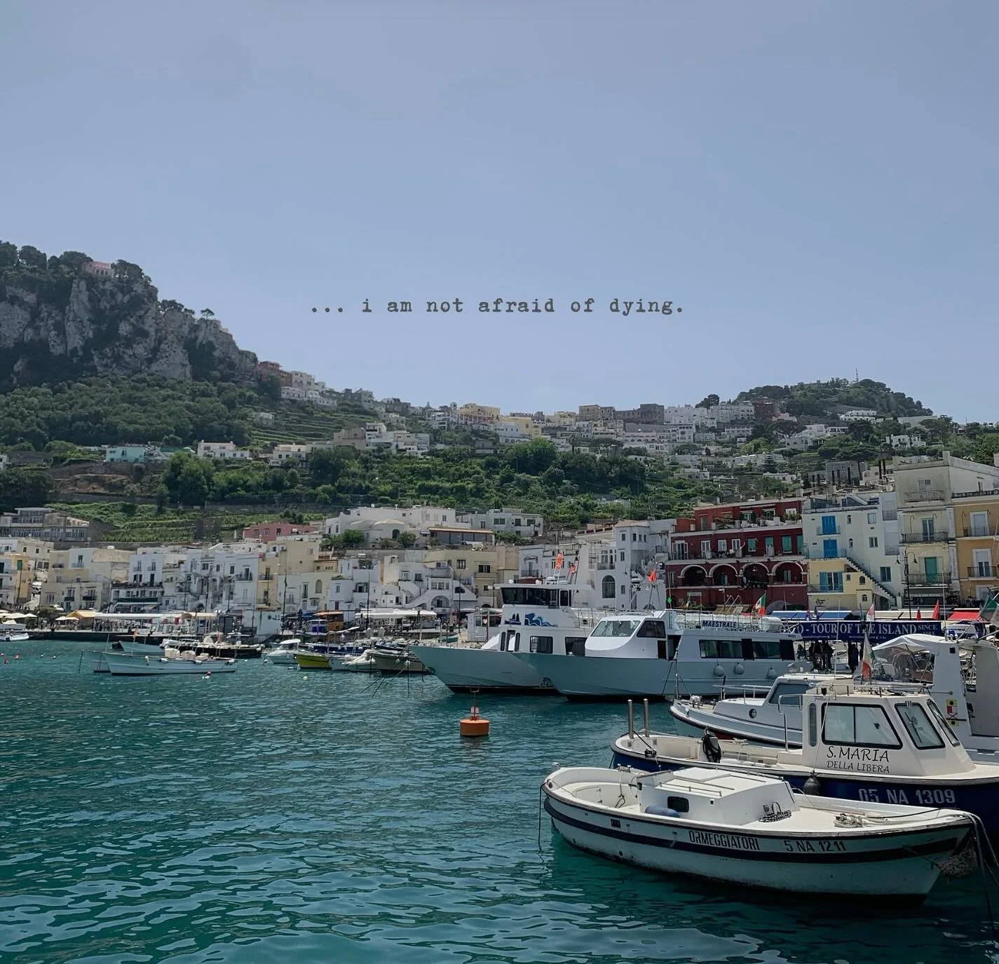 but i am afraid of&hellip;
&bull;
&bull;
&bull;
&bull;
&bull;
&bull;
&bull;
&bull;

#poetry #fyp #explorepage #readers #writers #aesthetics #poets #viral #feels #literature #poems 

note - all visual &amp; written work featured on this profile is cre