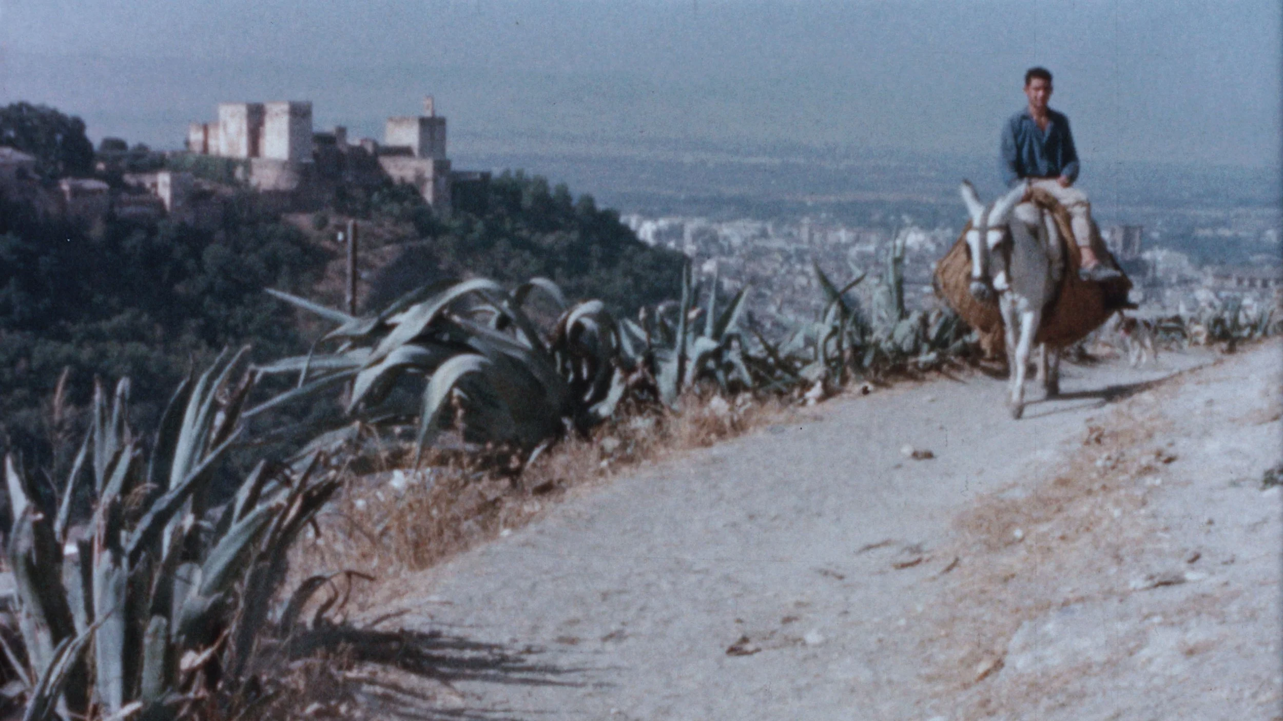 THE CUT - ORIGINAL AND GRADED.00_04_34_17.Still008 copy.jpg