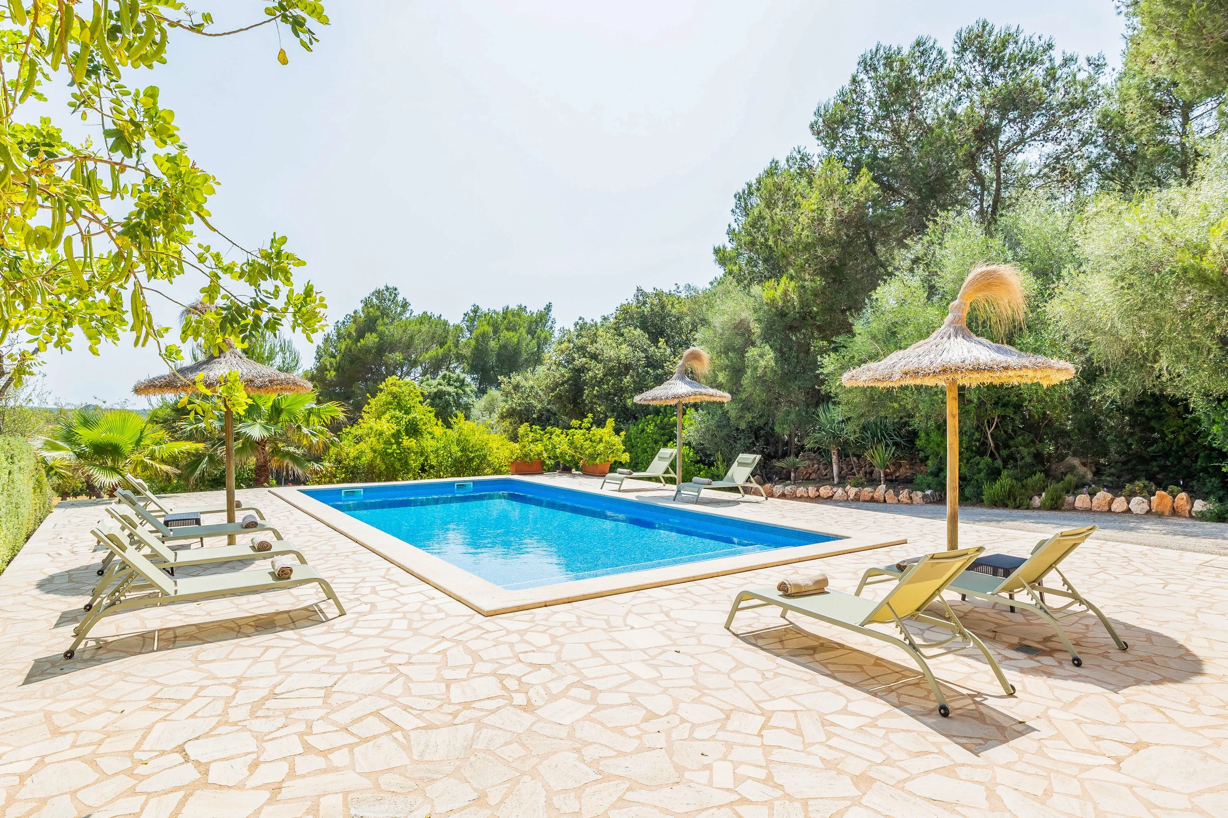 Rural house near Campos Mallorca with private pool, large plot and natural surroundings real estate photography