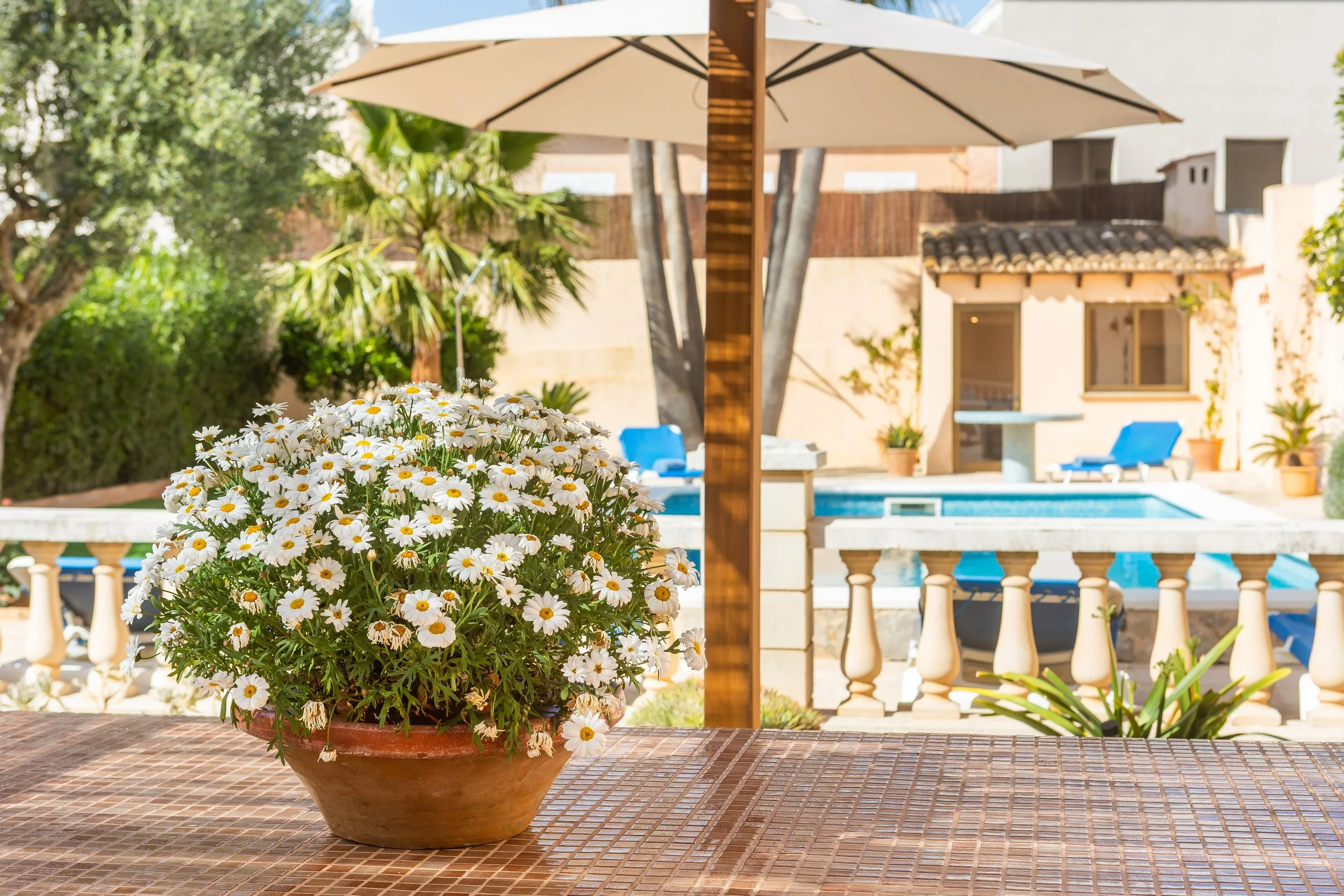 Sol d’Es Trenc Mallorca coastal property with swimming pool near Es Trenc beach real estate photography