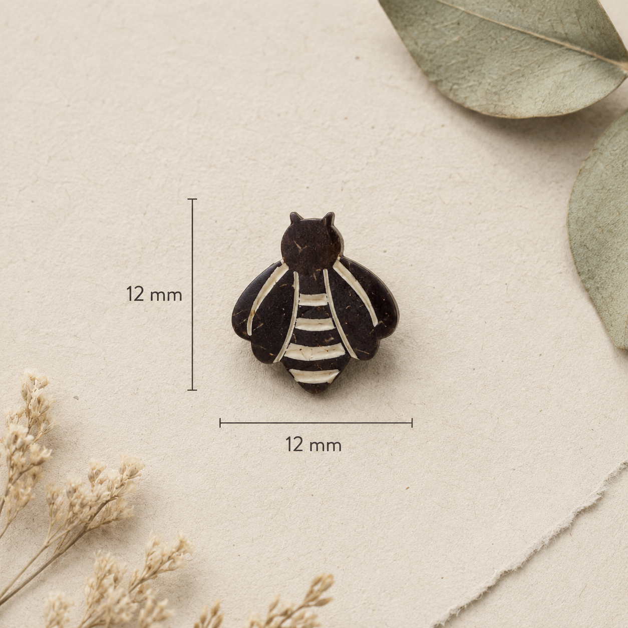 Bee Dimensions.png
