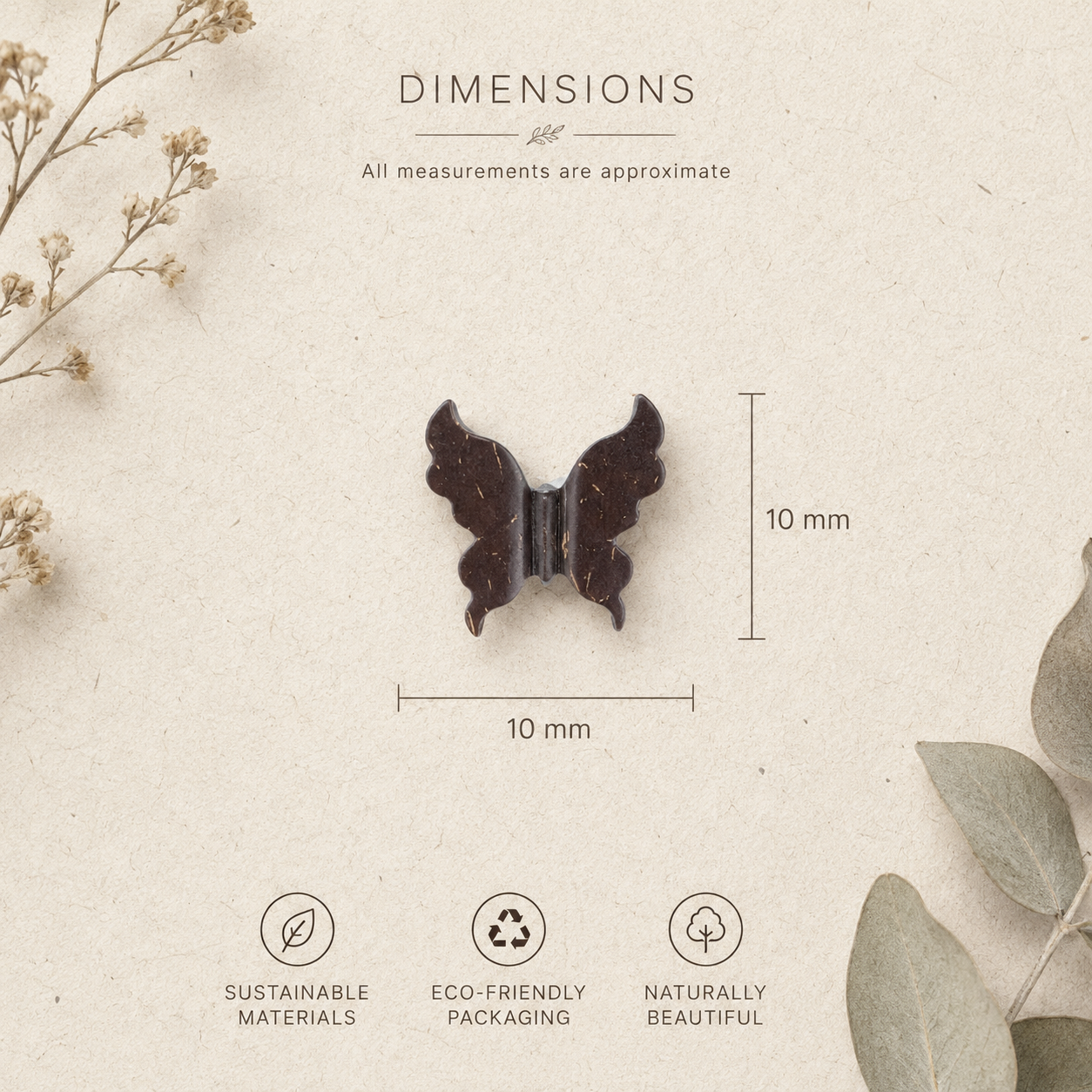 Butterfly dimensions.png
