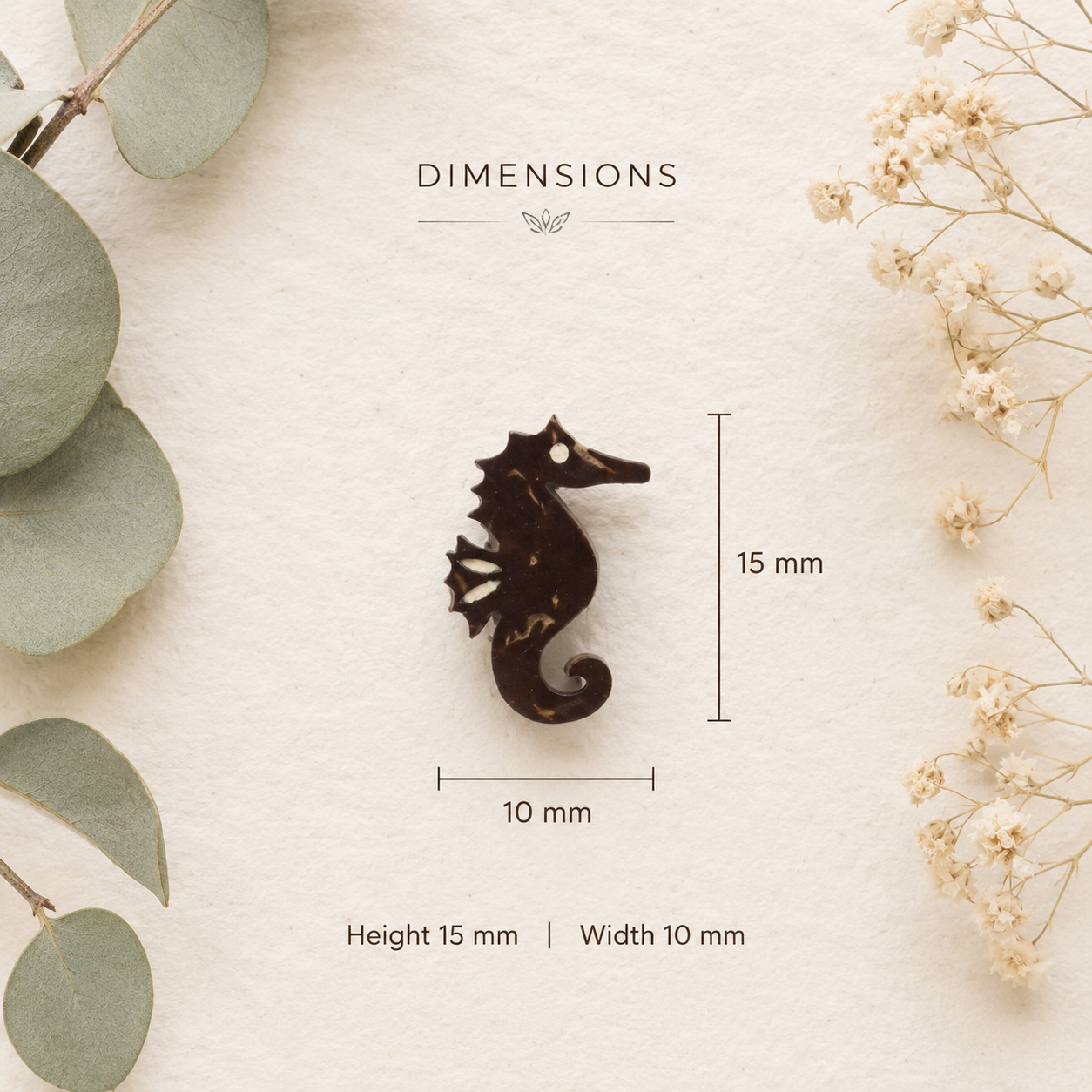 Sea Horse Dimensions.png