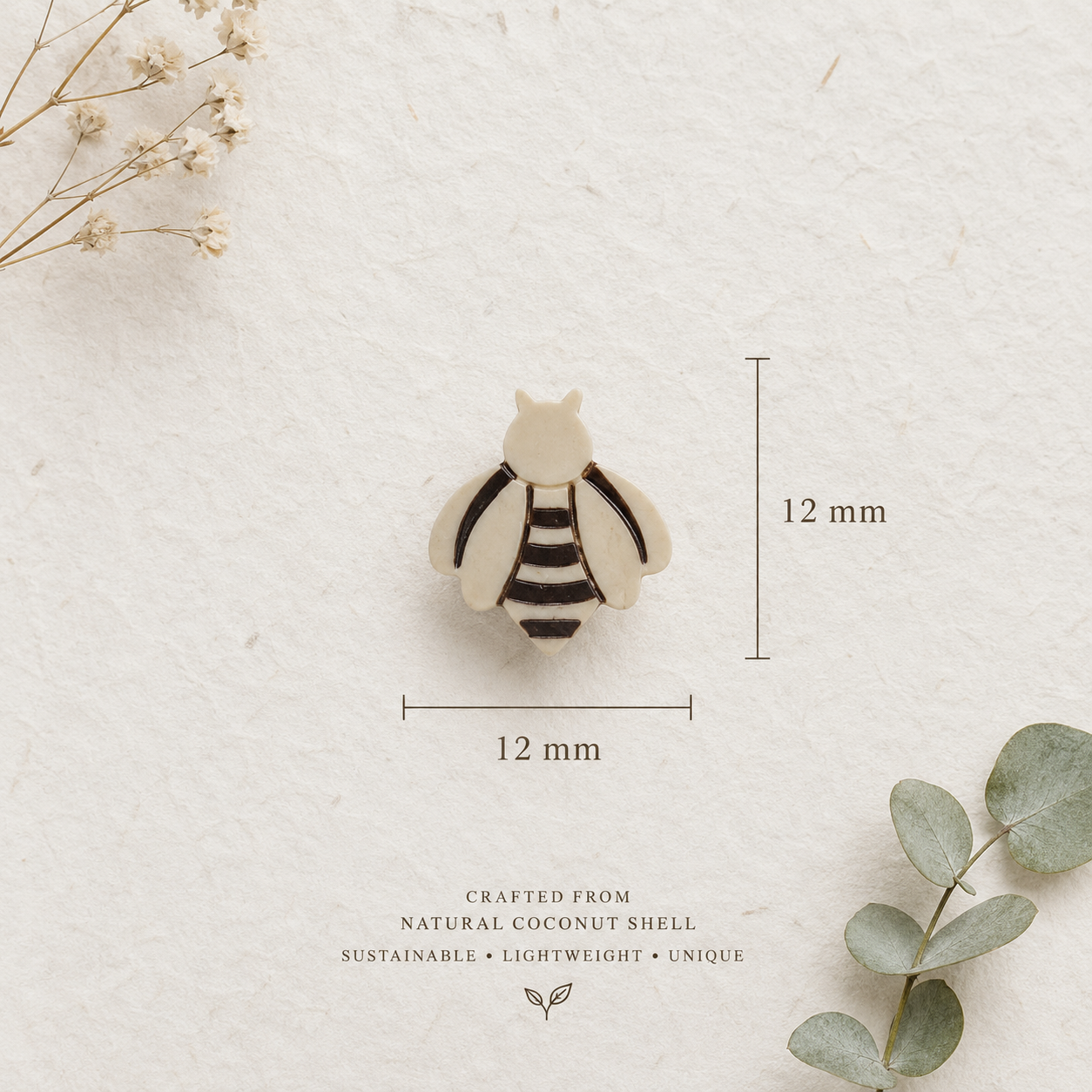 WhiteBee Dimensions.png