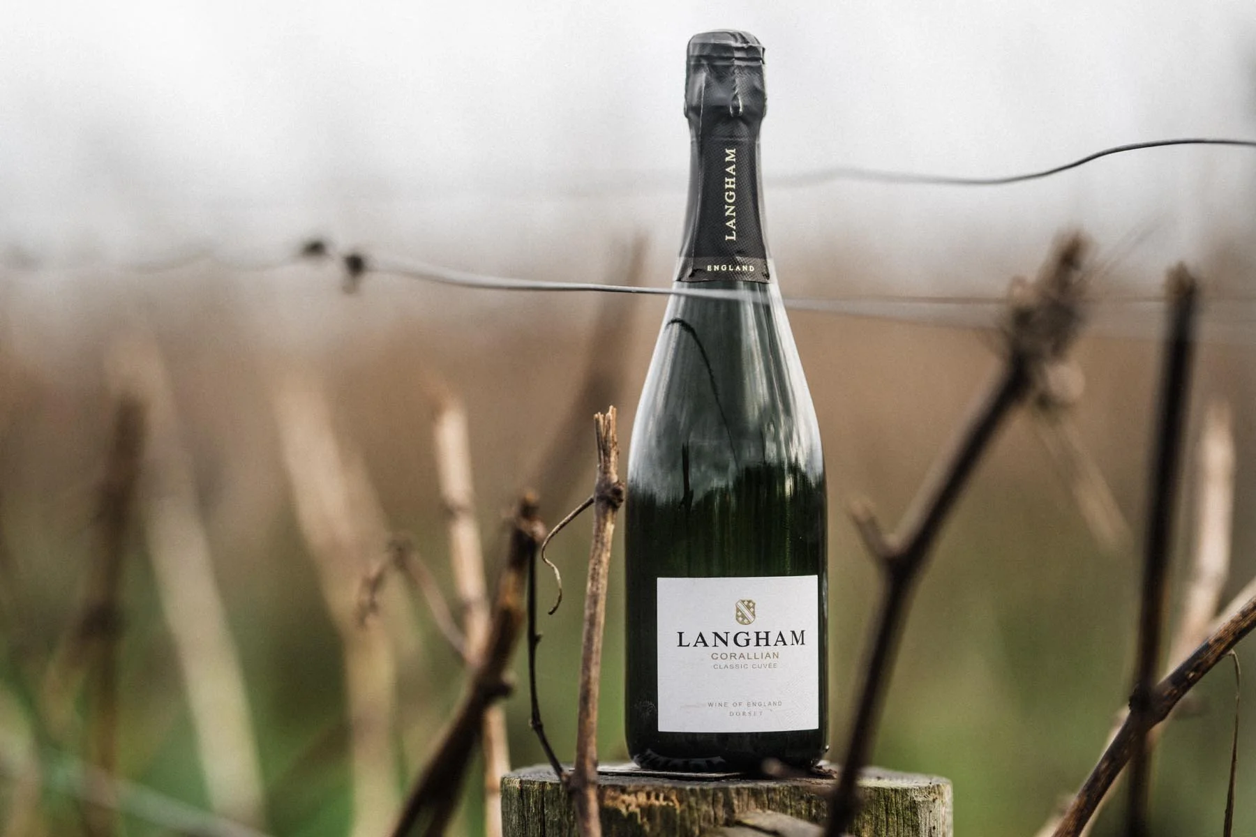 wines I’m drinking this spring