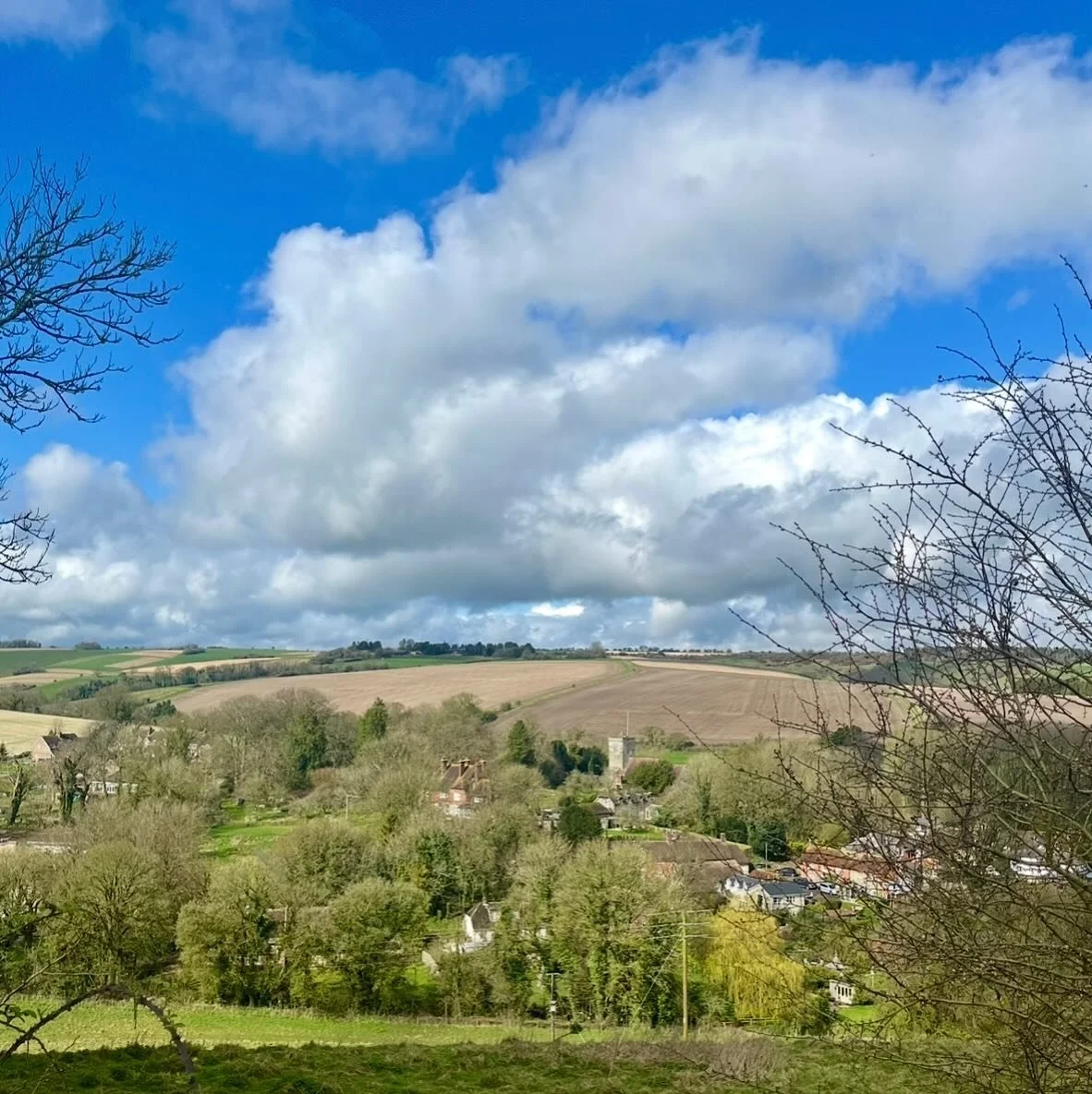 I recently visited a new potential vineyard site - the owners bought a house with 2 acres of land last year are interested in planting vines to make their own wine to drink and sell locally.

The south-facing field has a gentle slope, greensand soil 
